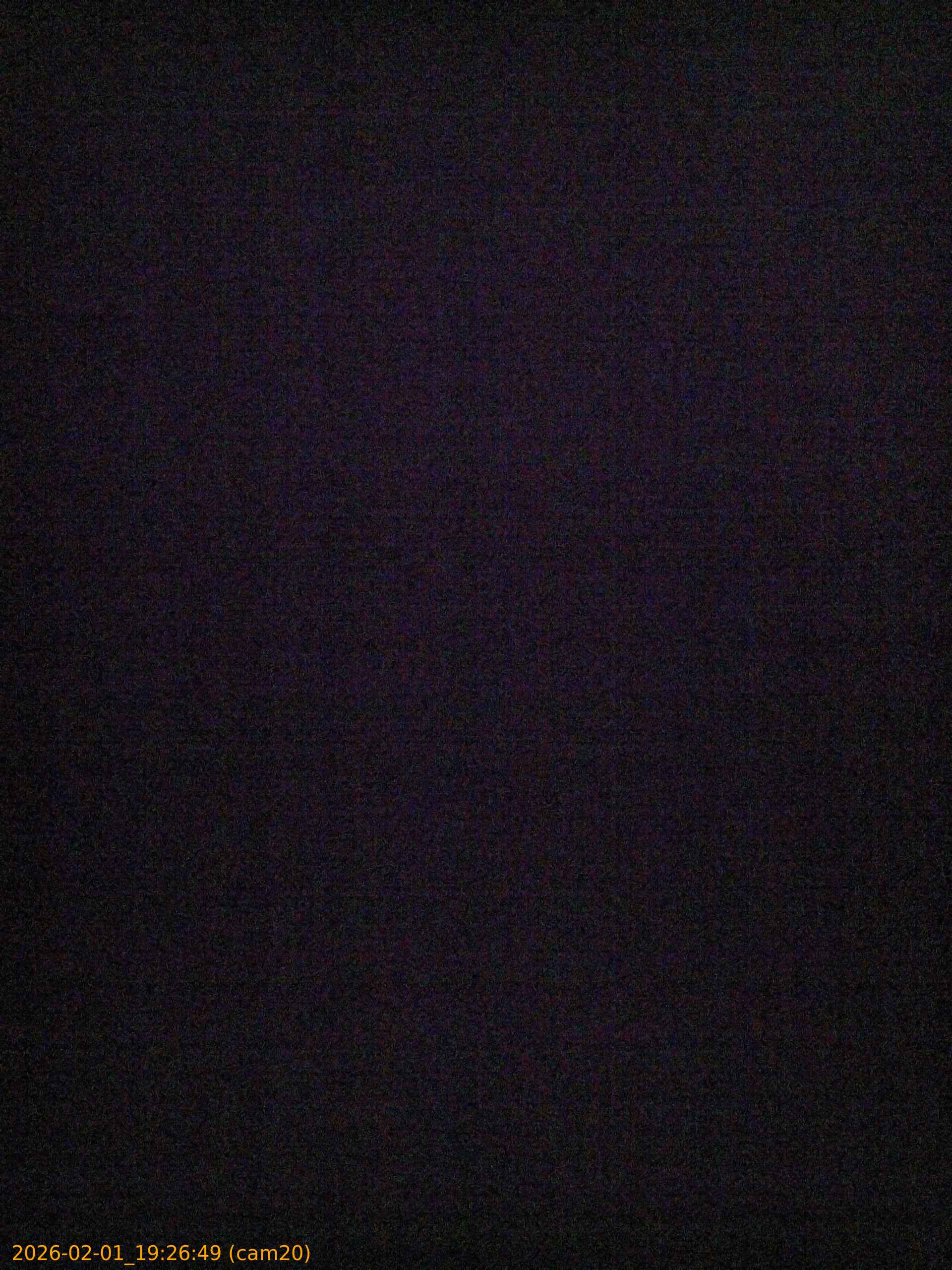 thumbnail_20260201192649