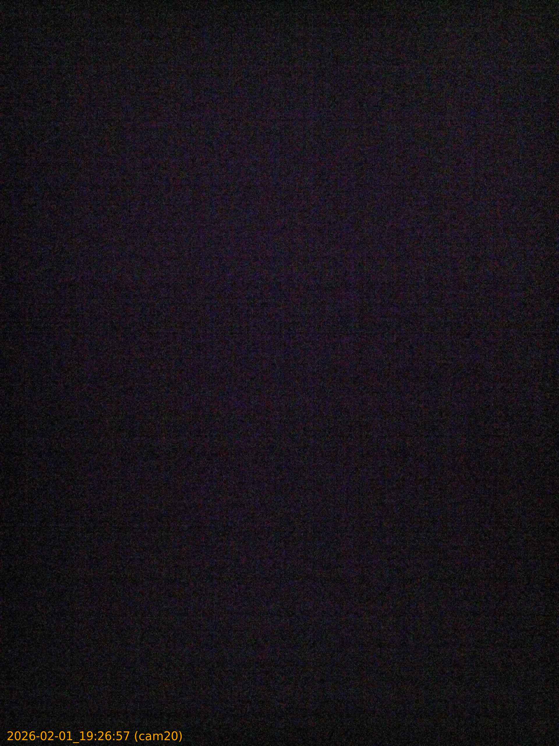 thumbnail_20260201192657