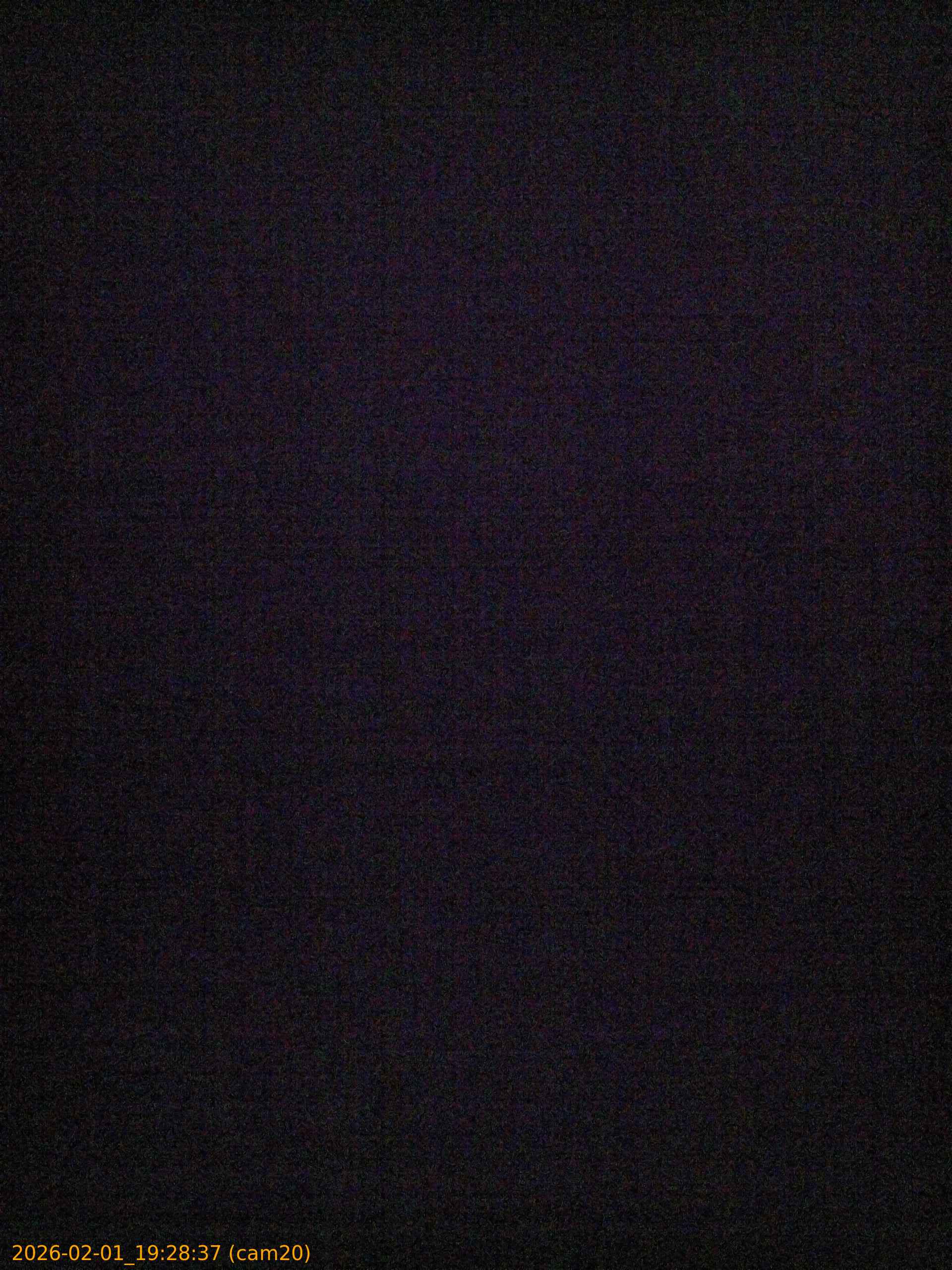 thumbnail_20260201192837