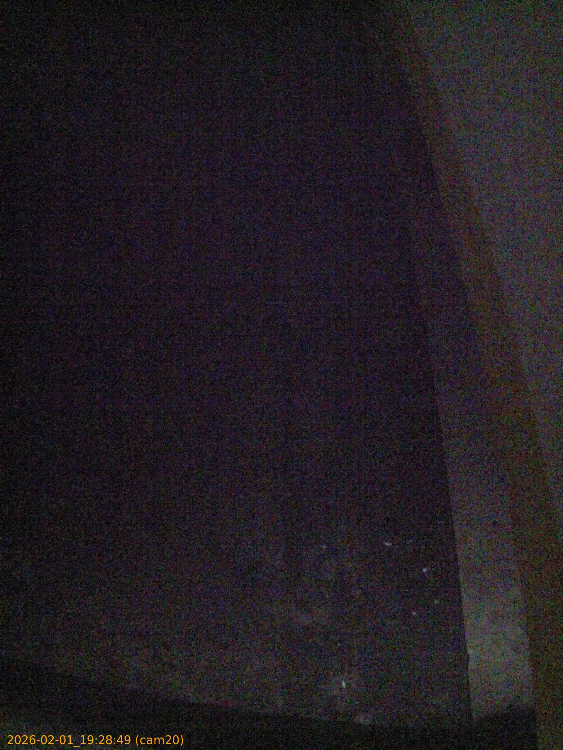 thumbnail_20260201192849