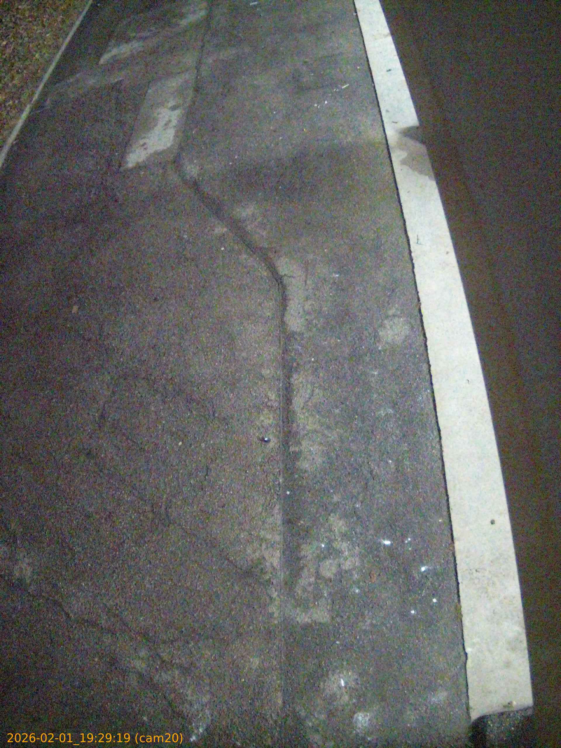 thumbnail_20260201192919