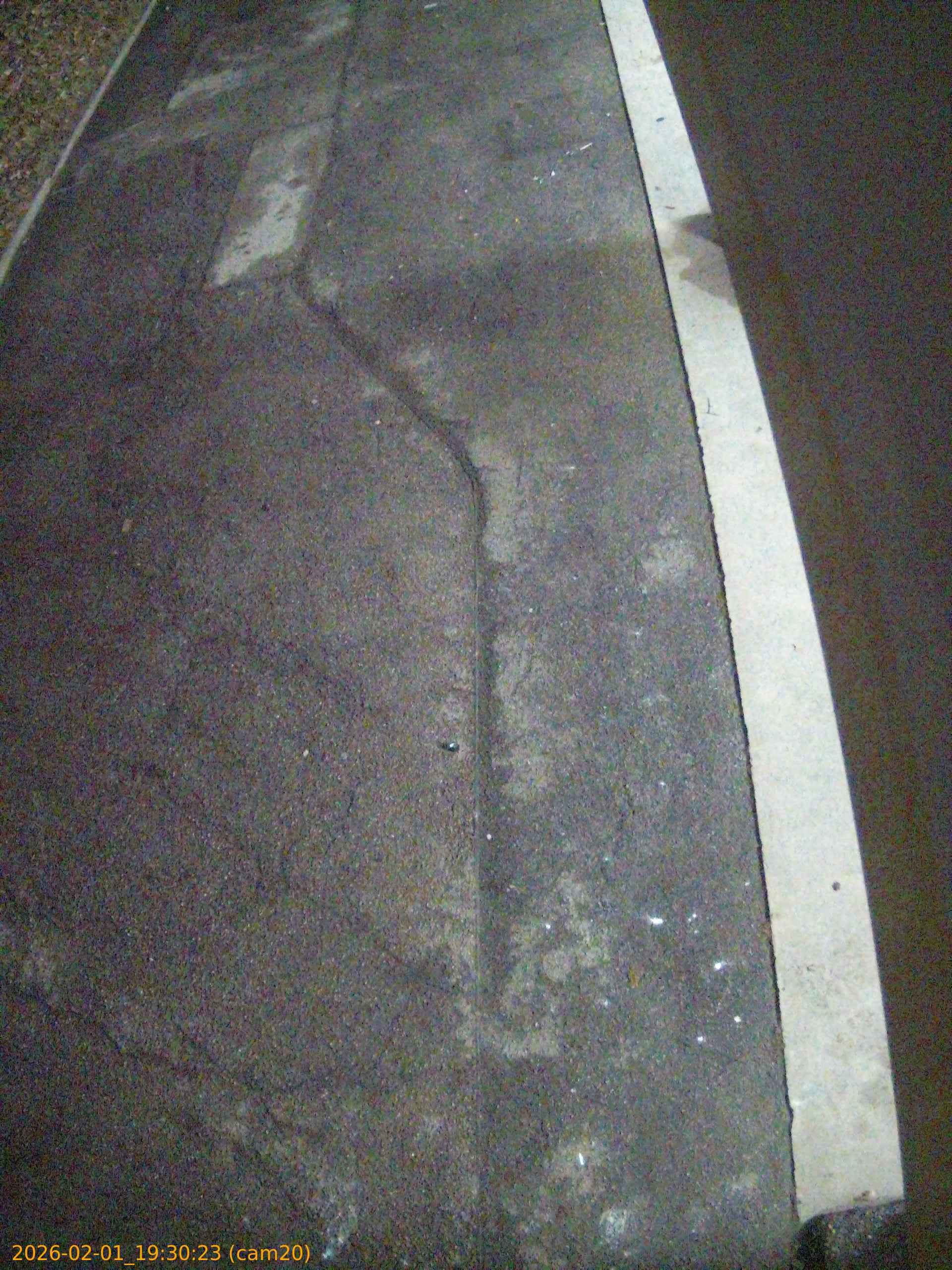 thumbnail_20260201193023