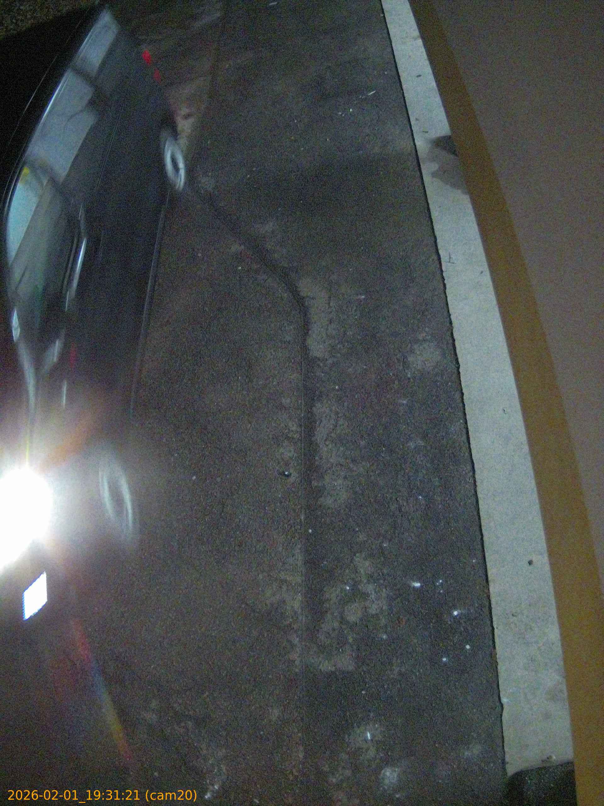 thumbnail_20260201193121