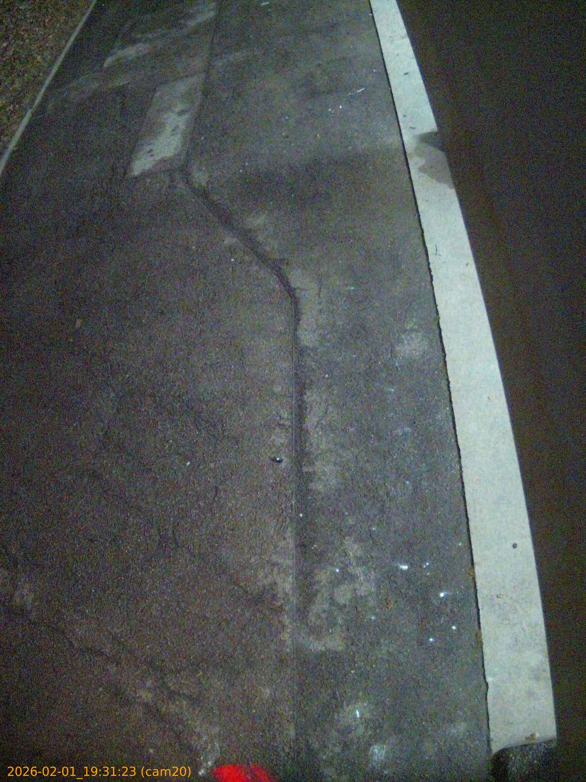 thumbnail_20260201193123