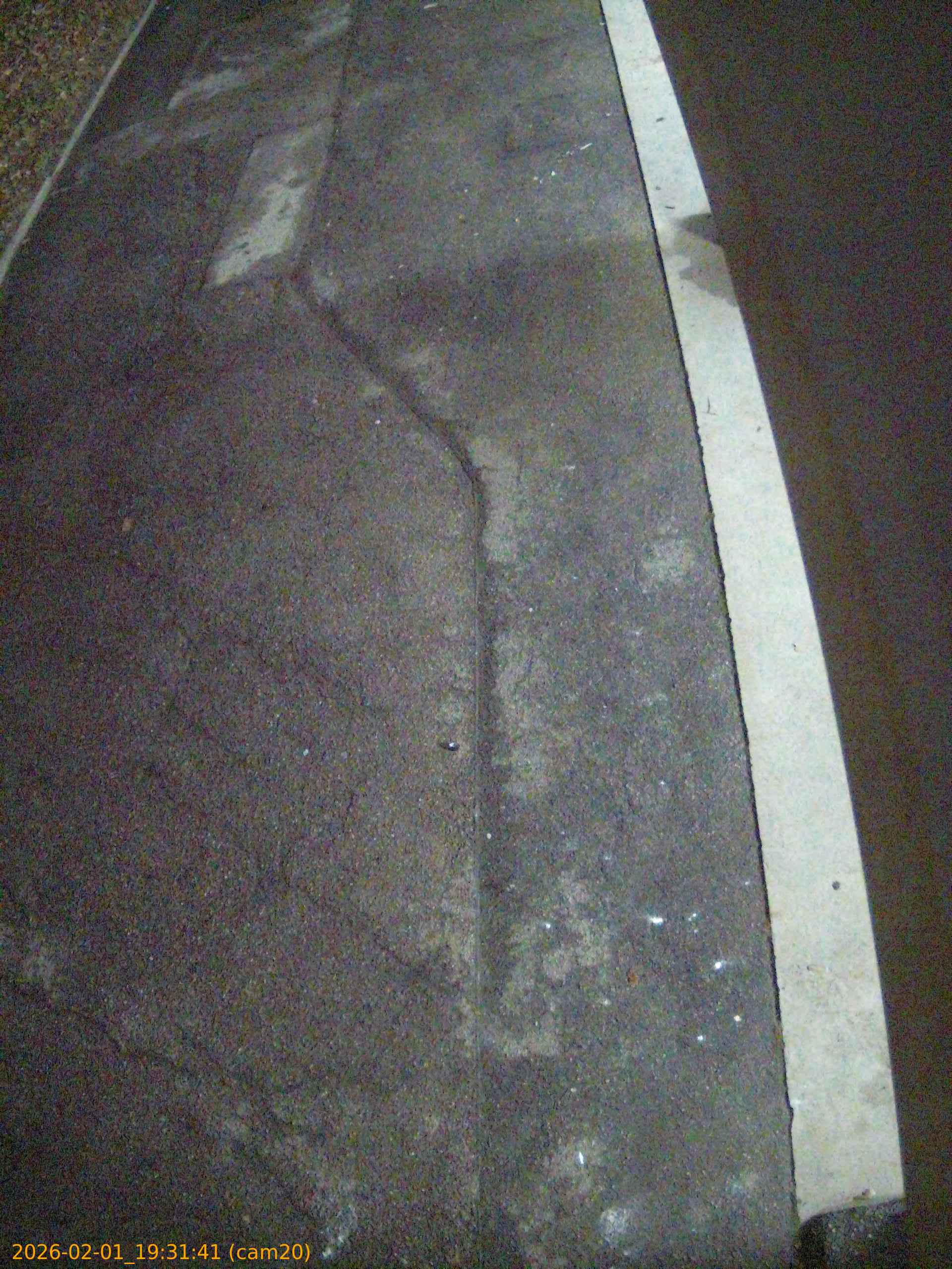 thumbnail_20260201193141