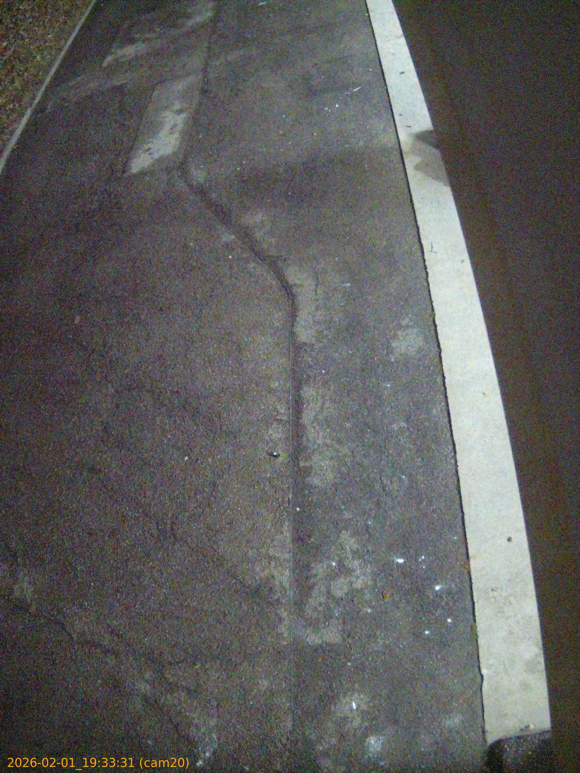 thumbnail_20260201193331