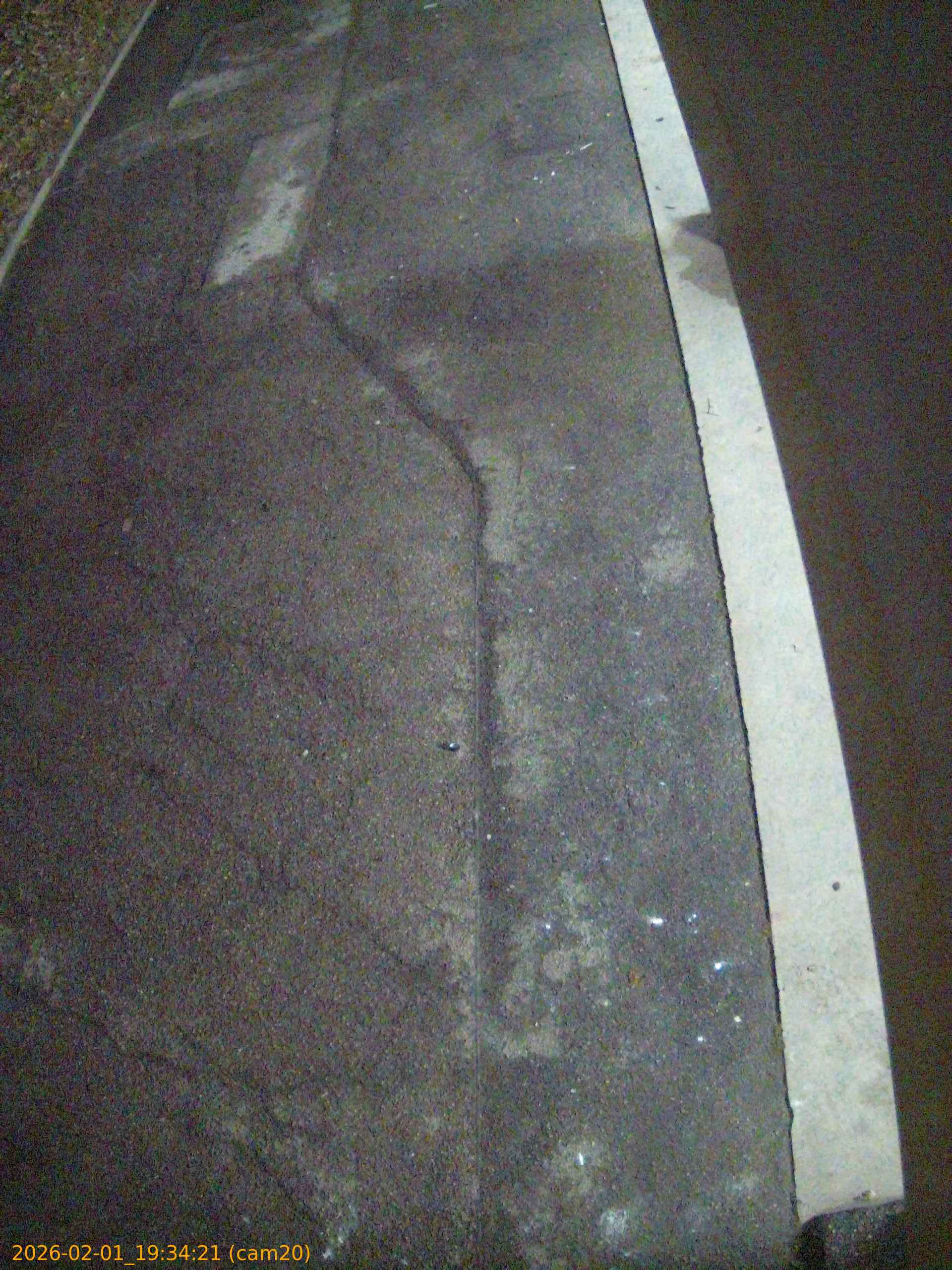 thumbnail_20260201193421