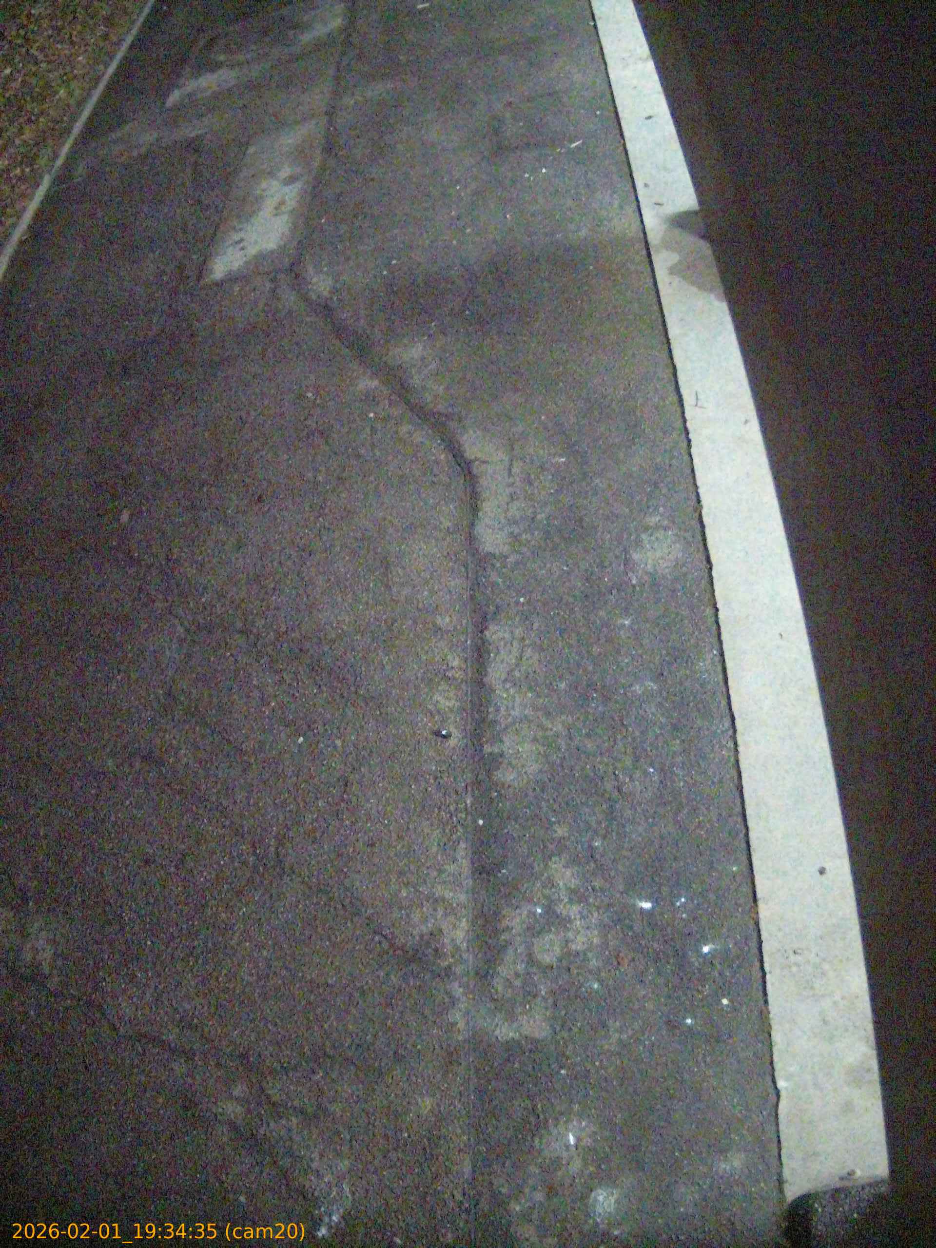 thumbnail_20260201193435