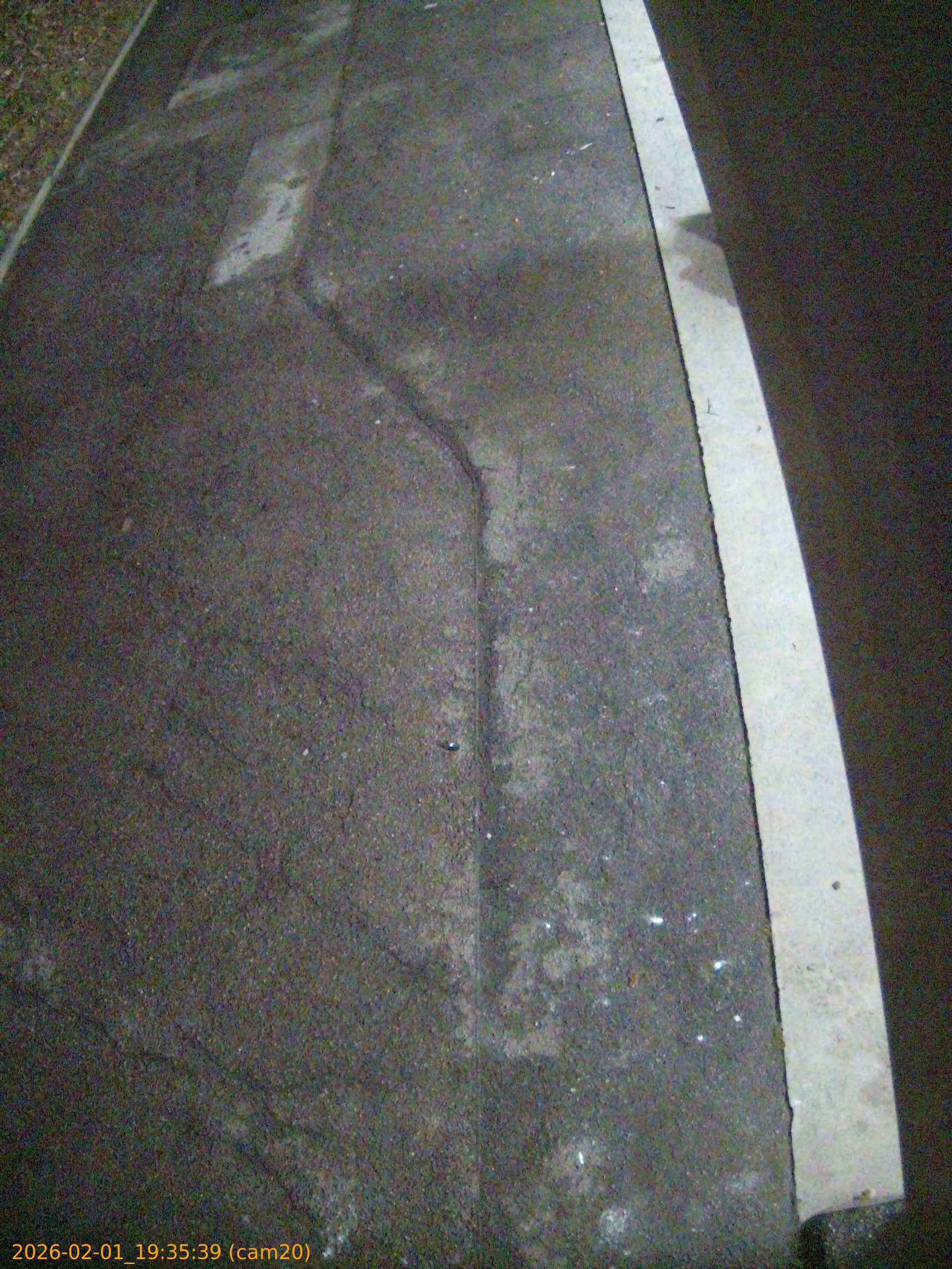 thumbnail_20260201193539