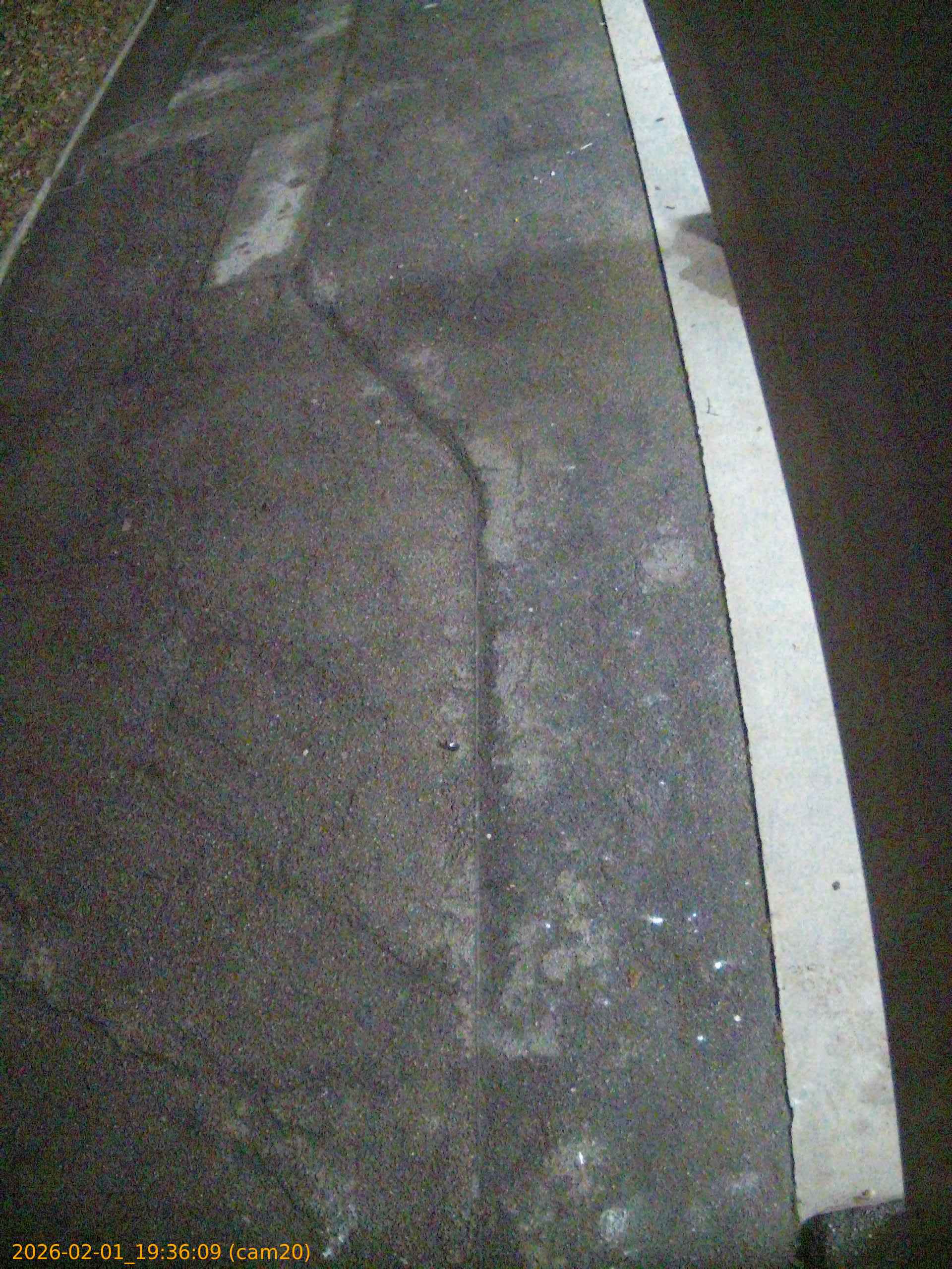 thumbnail_20260201193609