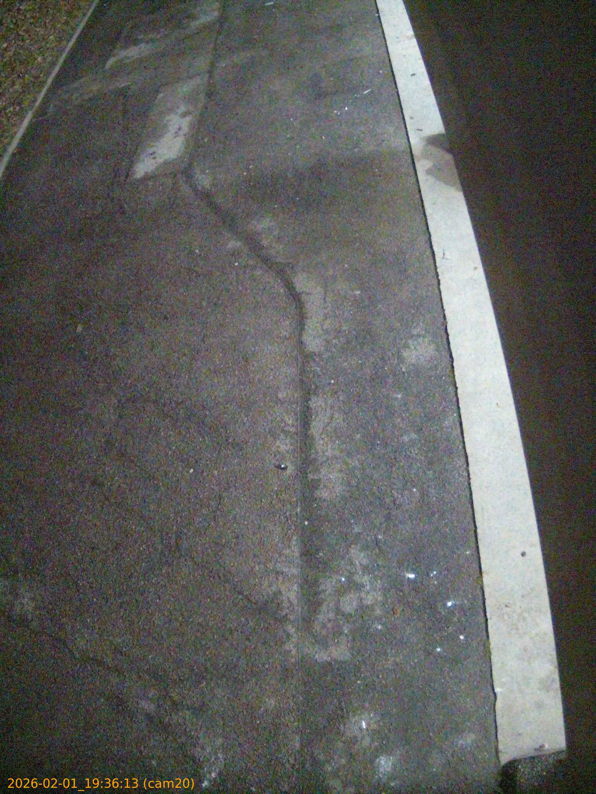 thumbnail_20260201193613