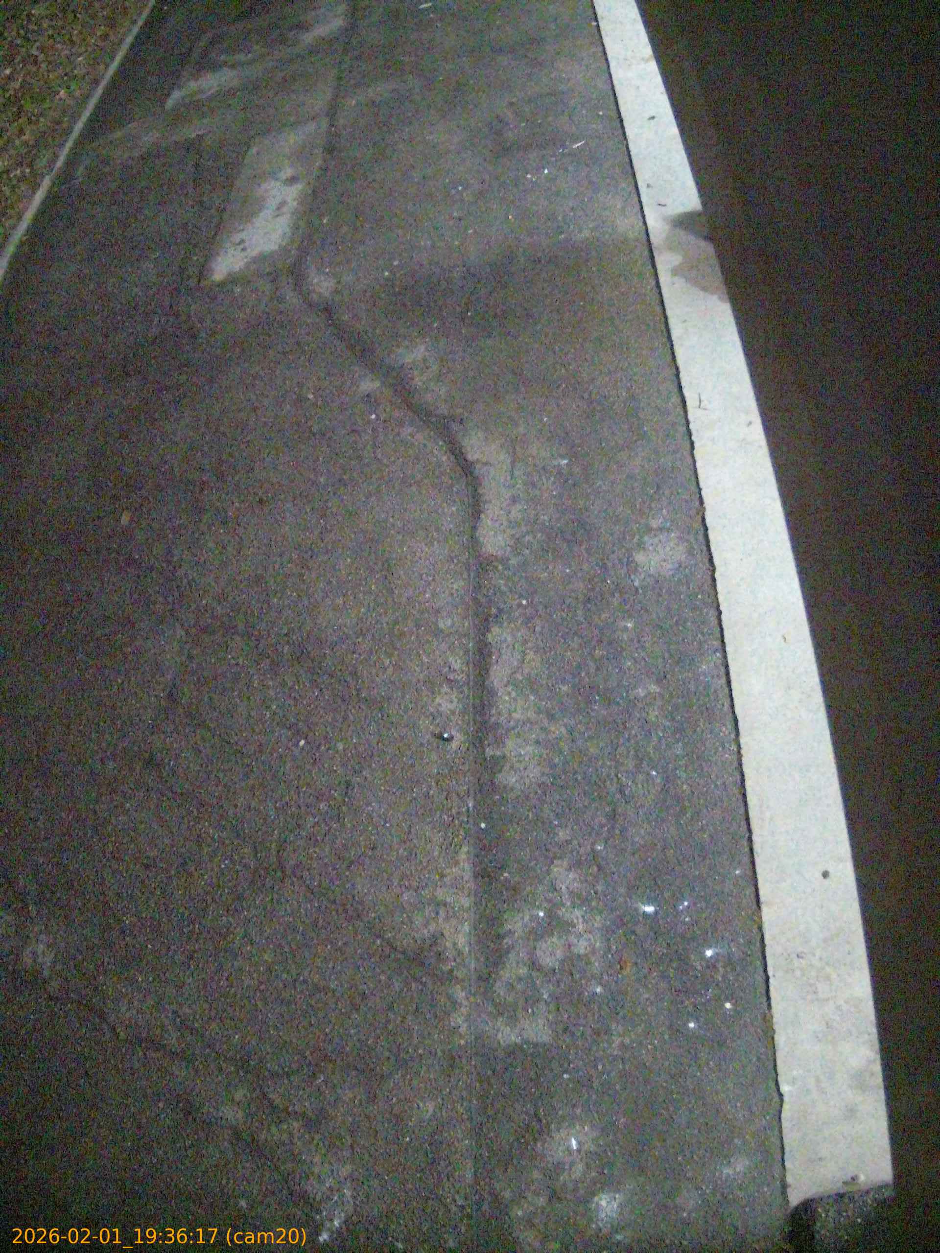 thumbnail_20260201193617