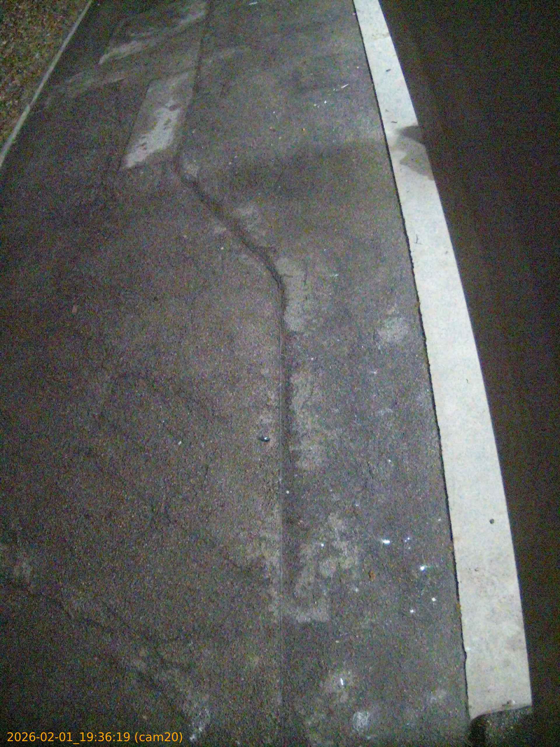 thumbnail_20260201193619