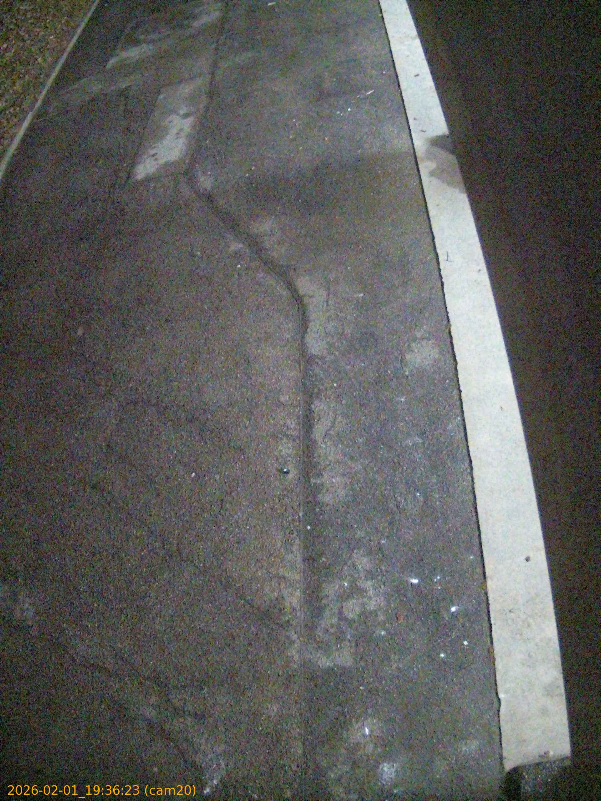 thumbnail_20260201193623