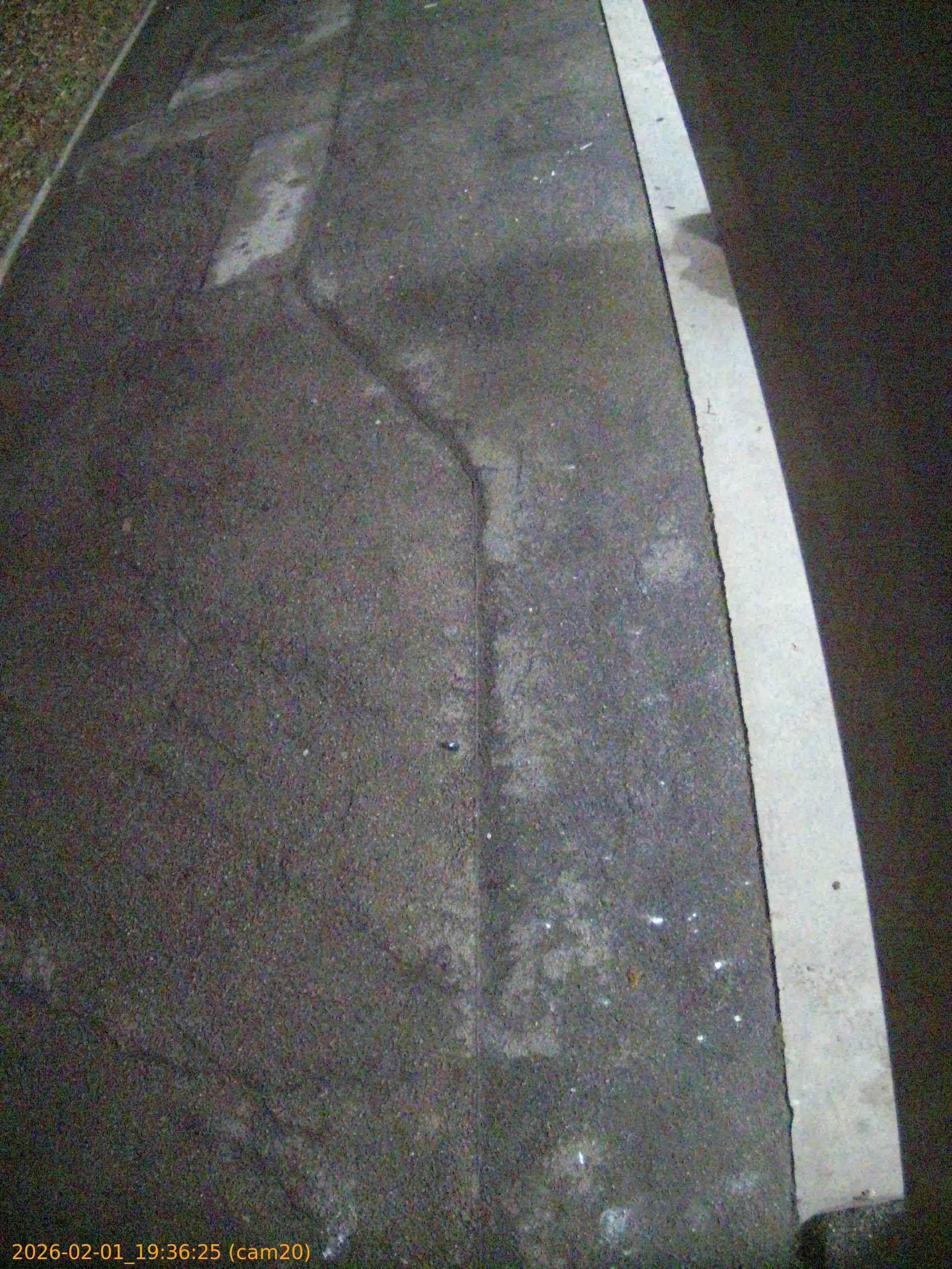 thumbnail_20260201193625