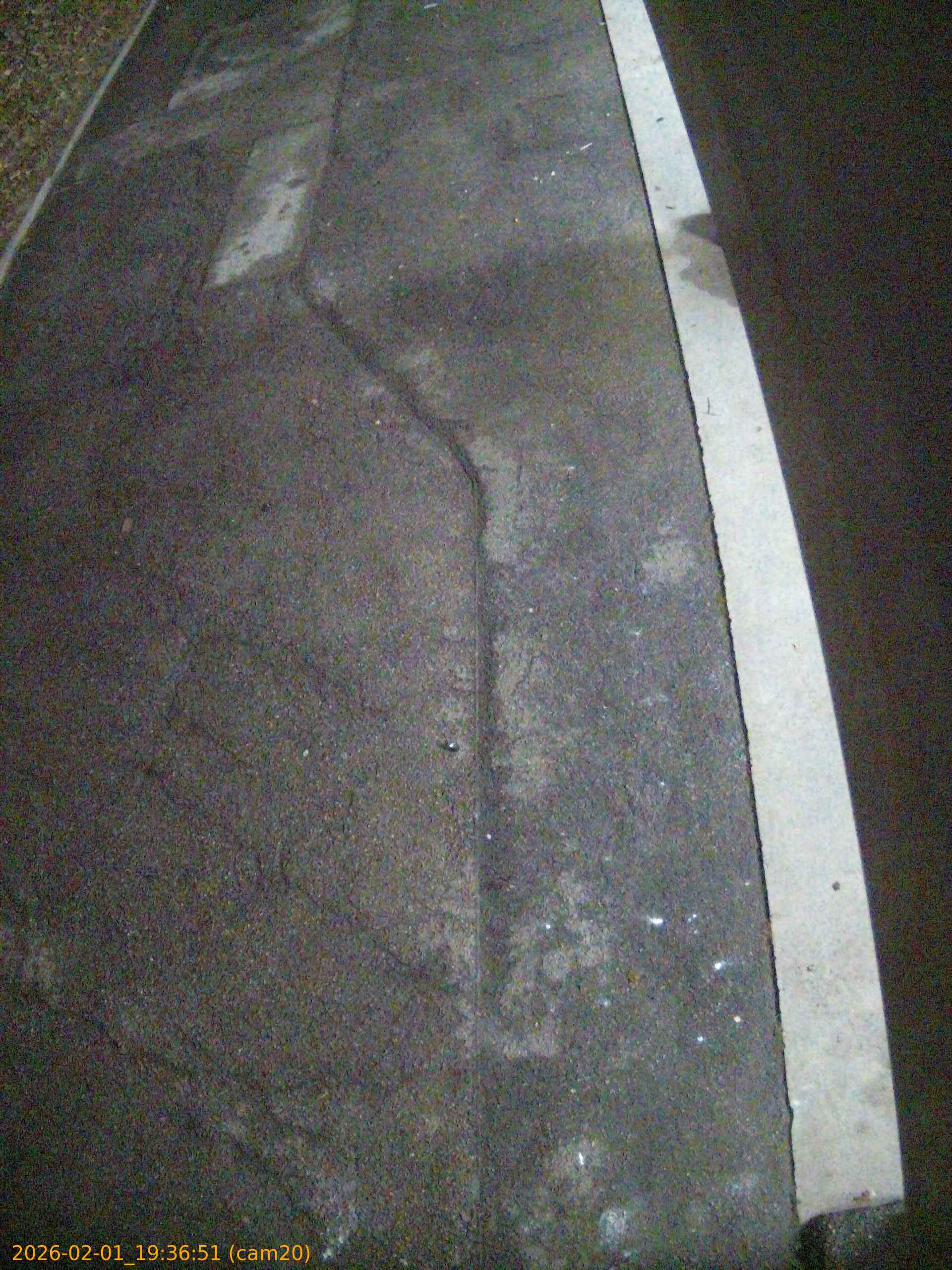 thumbnail_20260201193651