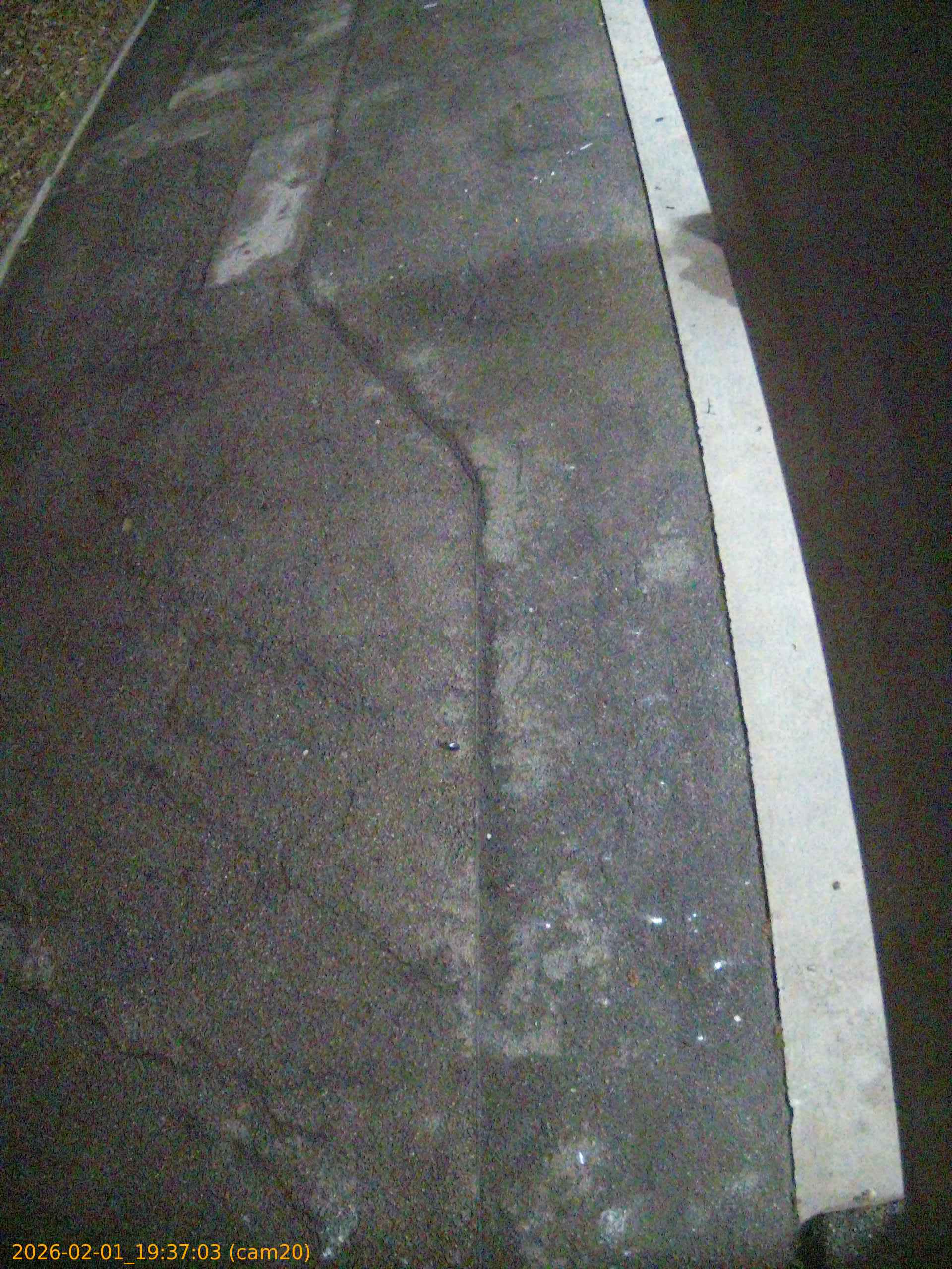 thumbnail_20260201193703