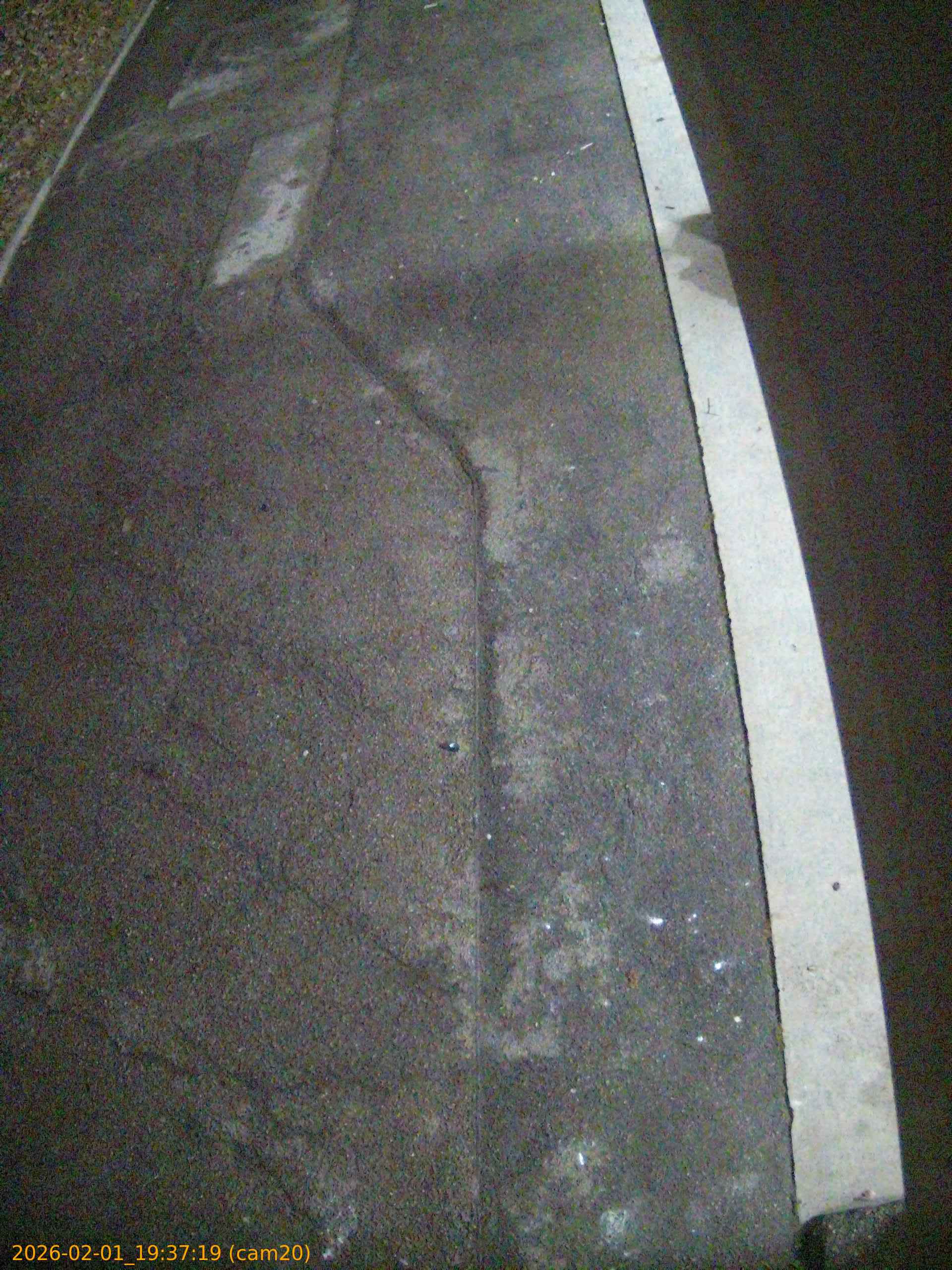 thumbnail_20260201193719