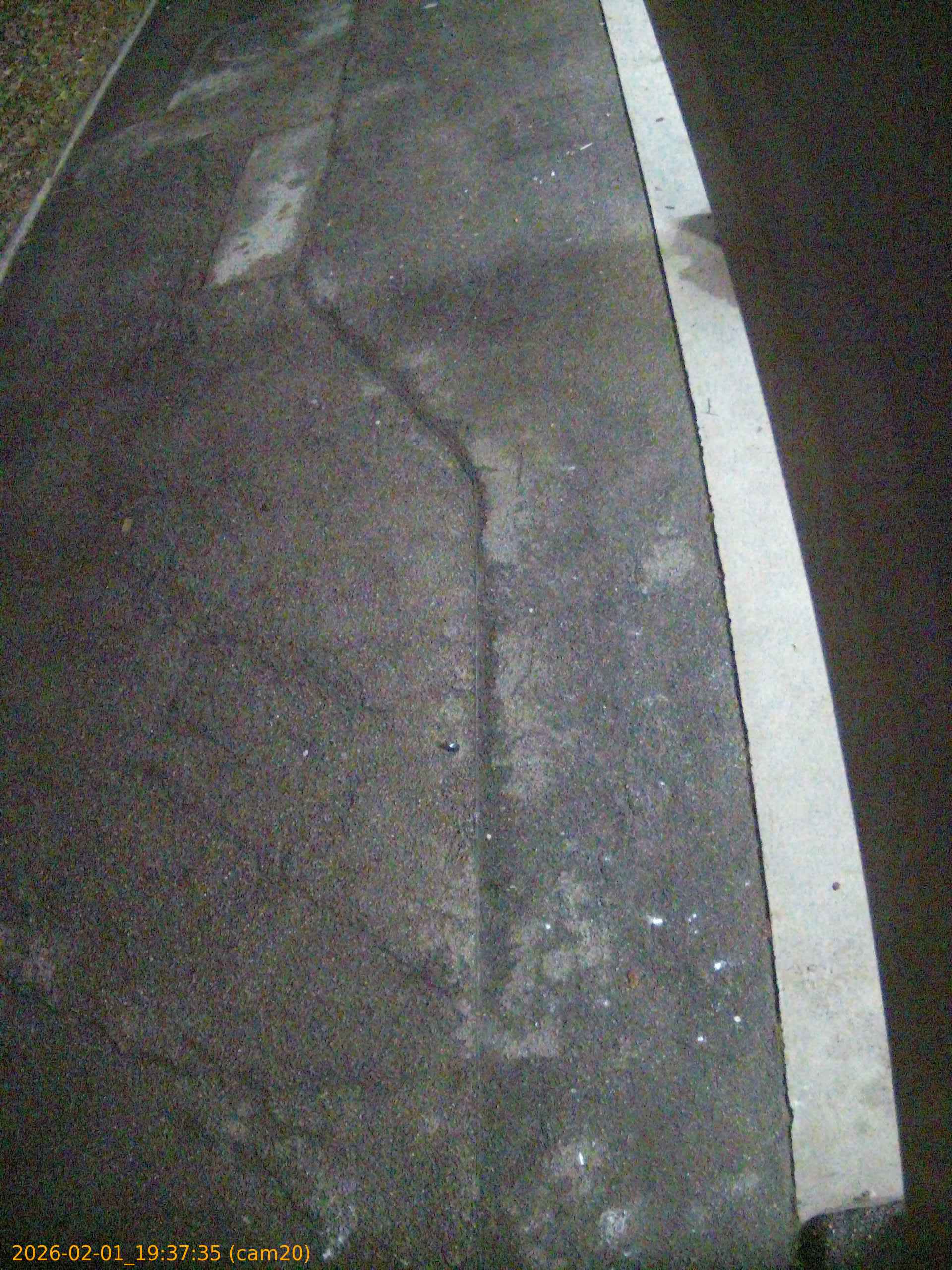 thumbnail_20260201193735