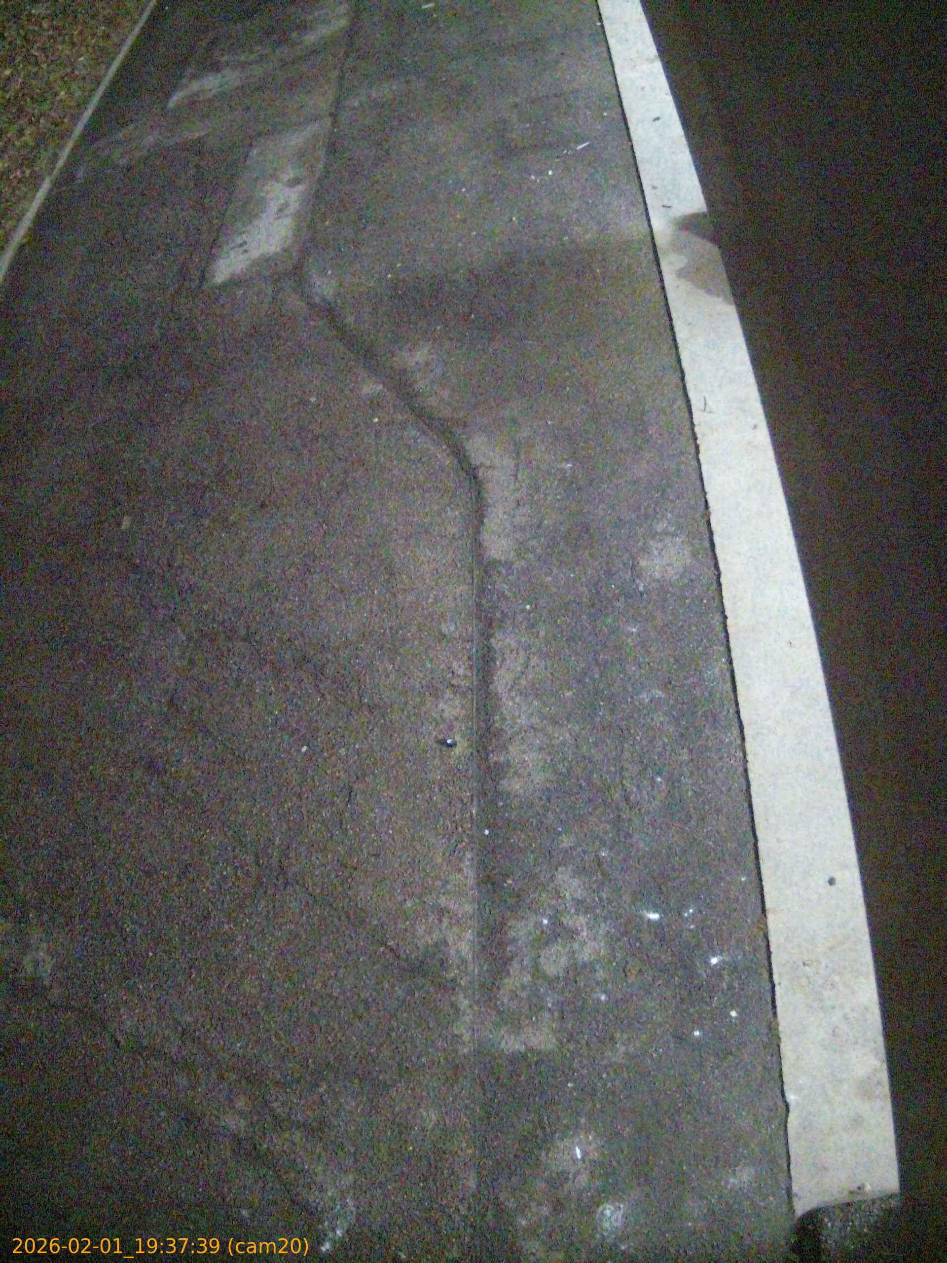 thumbnail_20260201193739