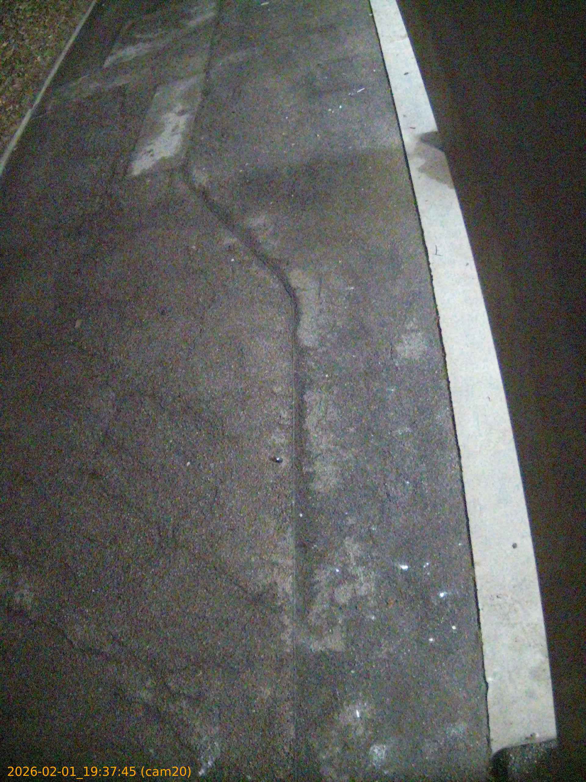 thumbnail_20260201193745