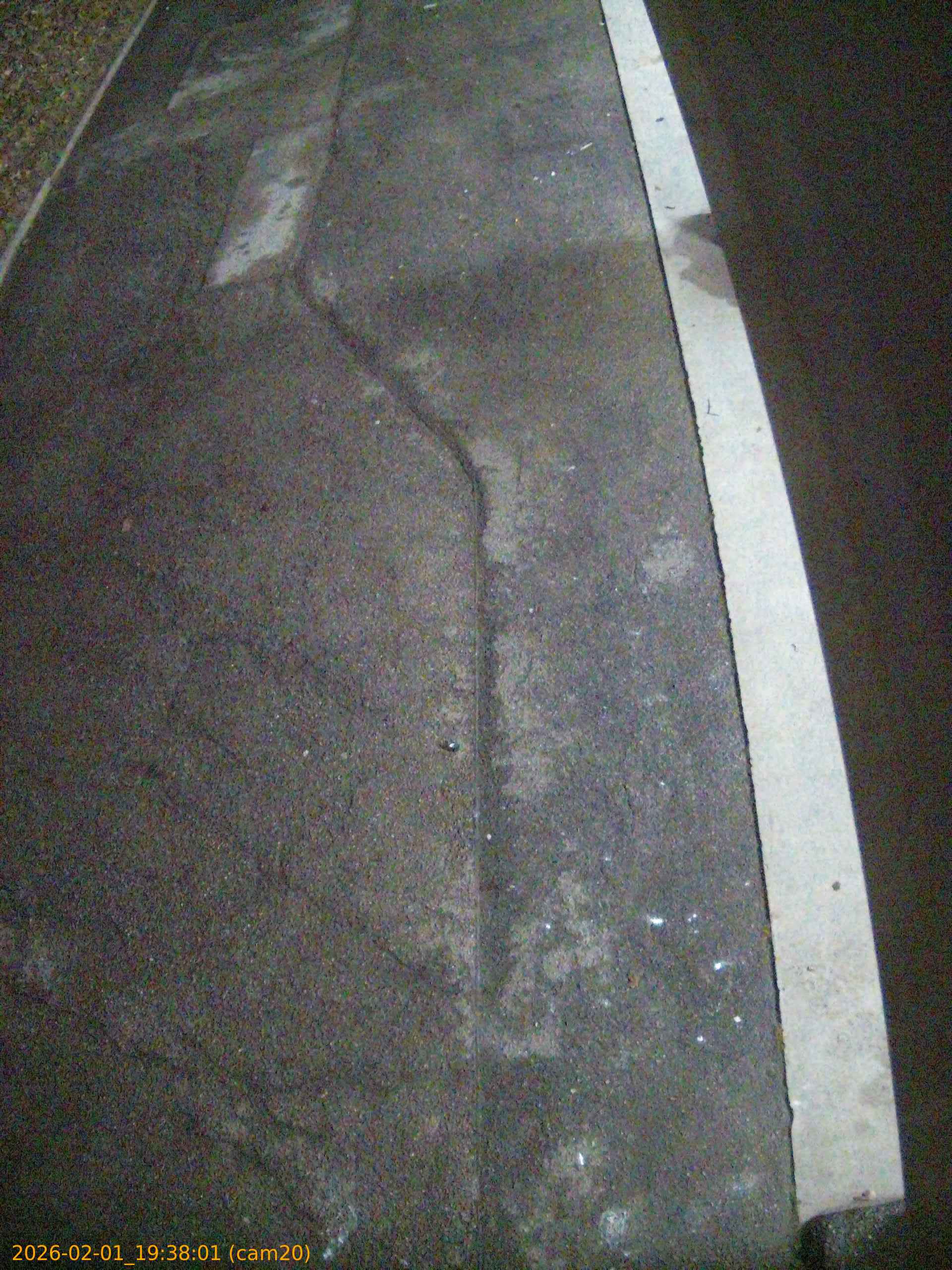 thumbnail_20260201193801