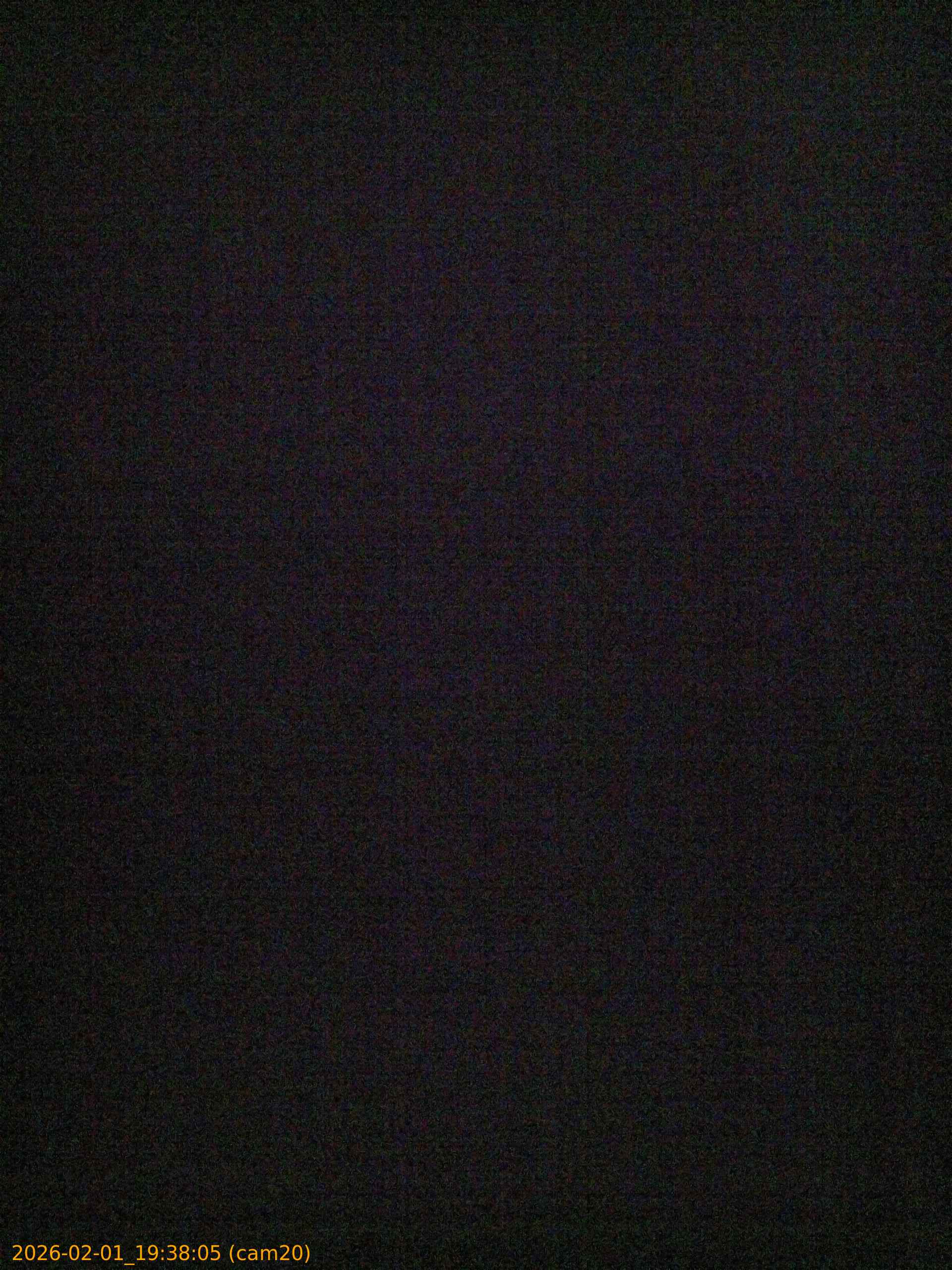 thumbnail_20260201193805