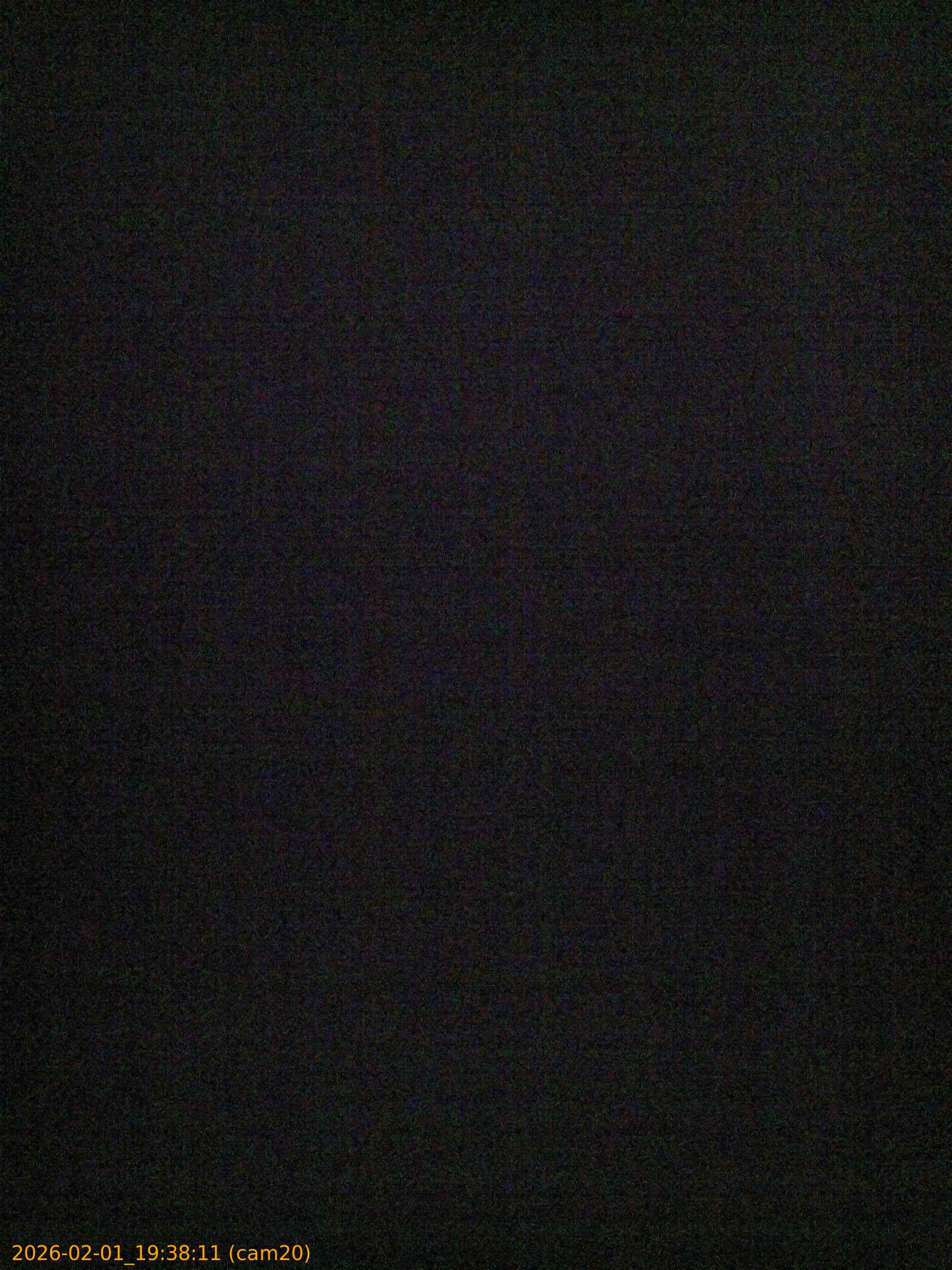 thumbnail_20260201193811