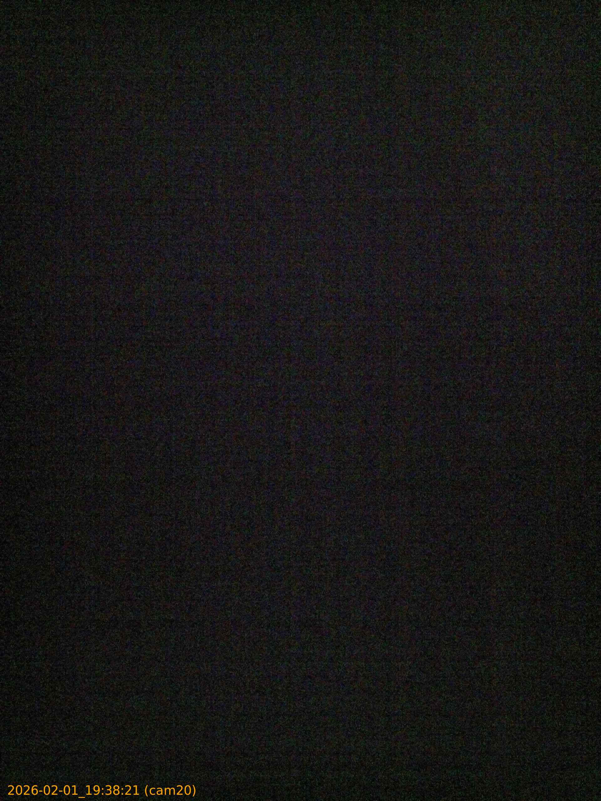 thumbnail_20260201193821