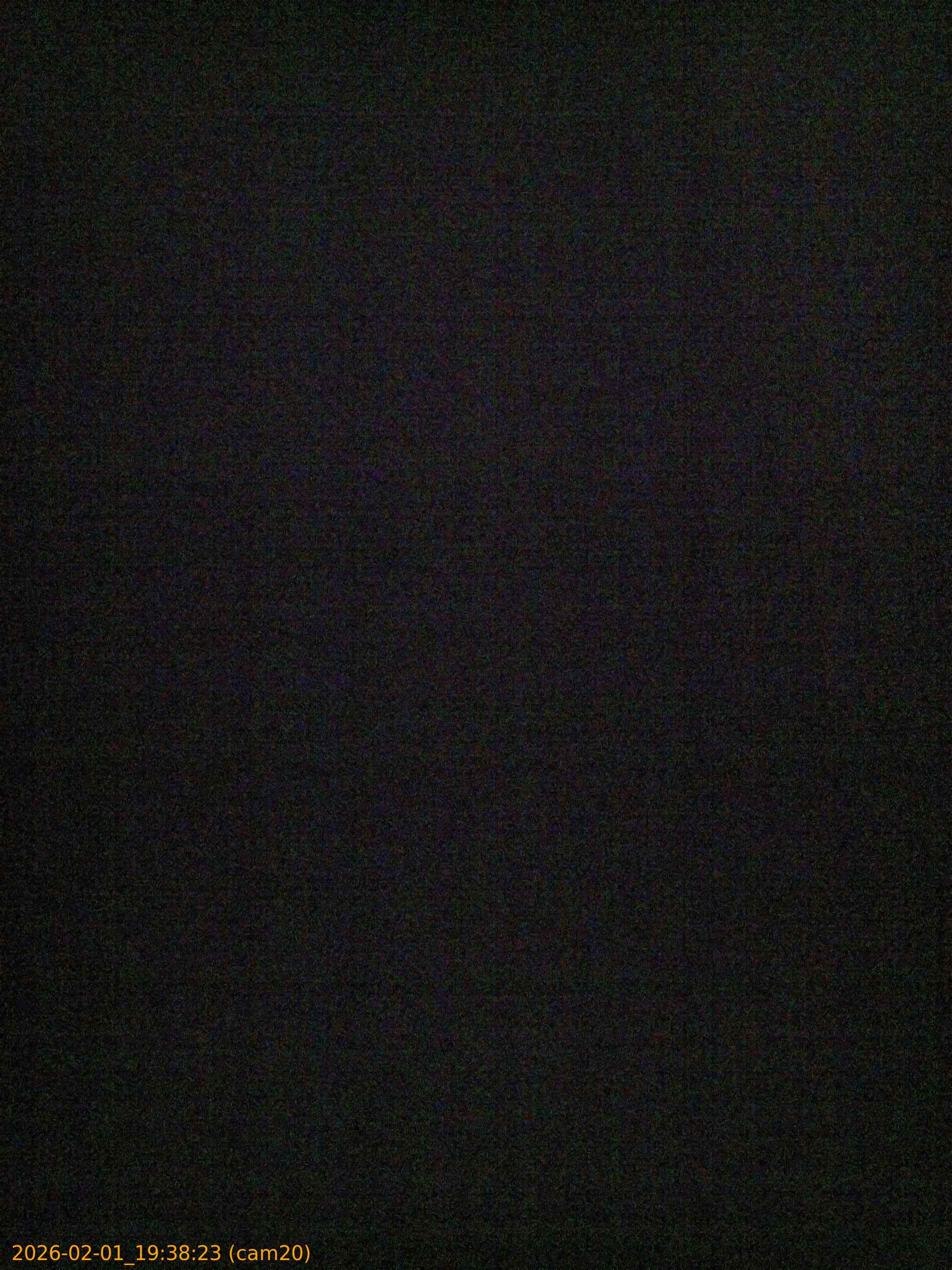 thumbnail_20260201193823