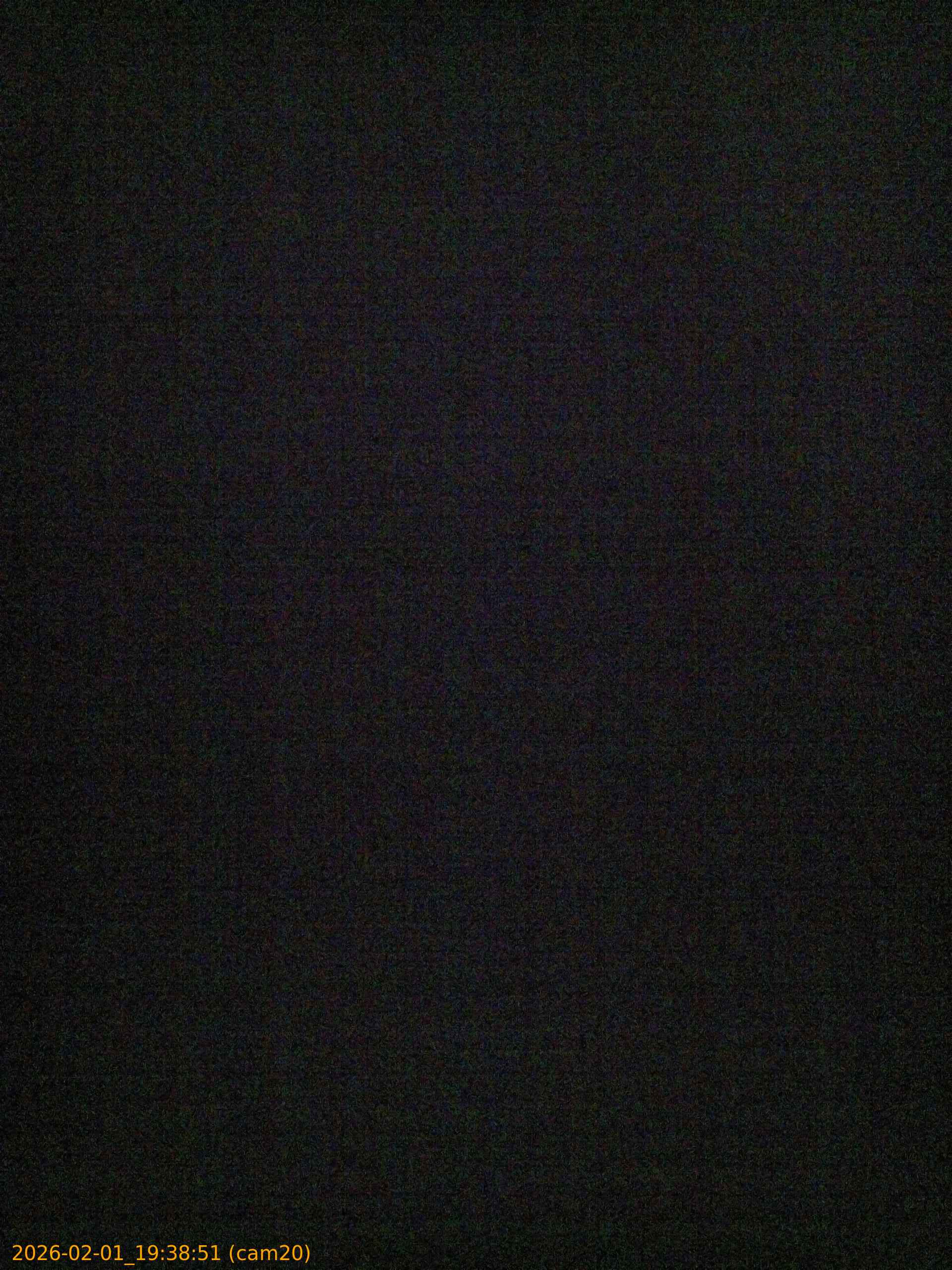 thumbnail_20260201193851