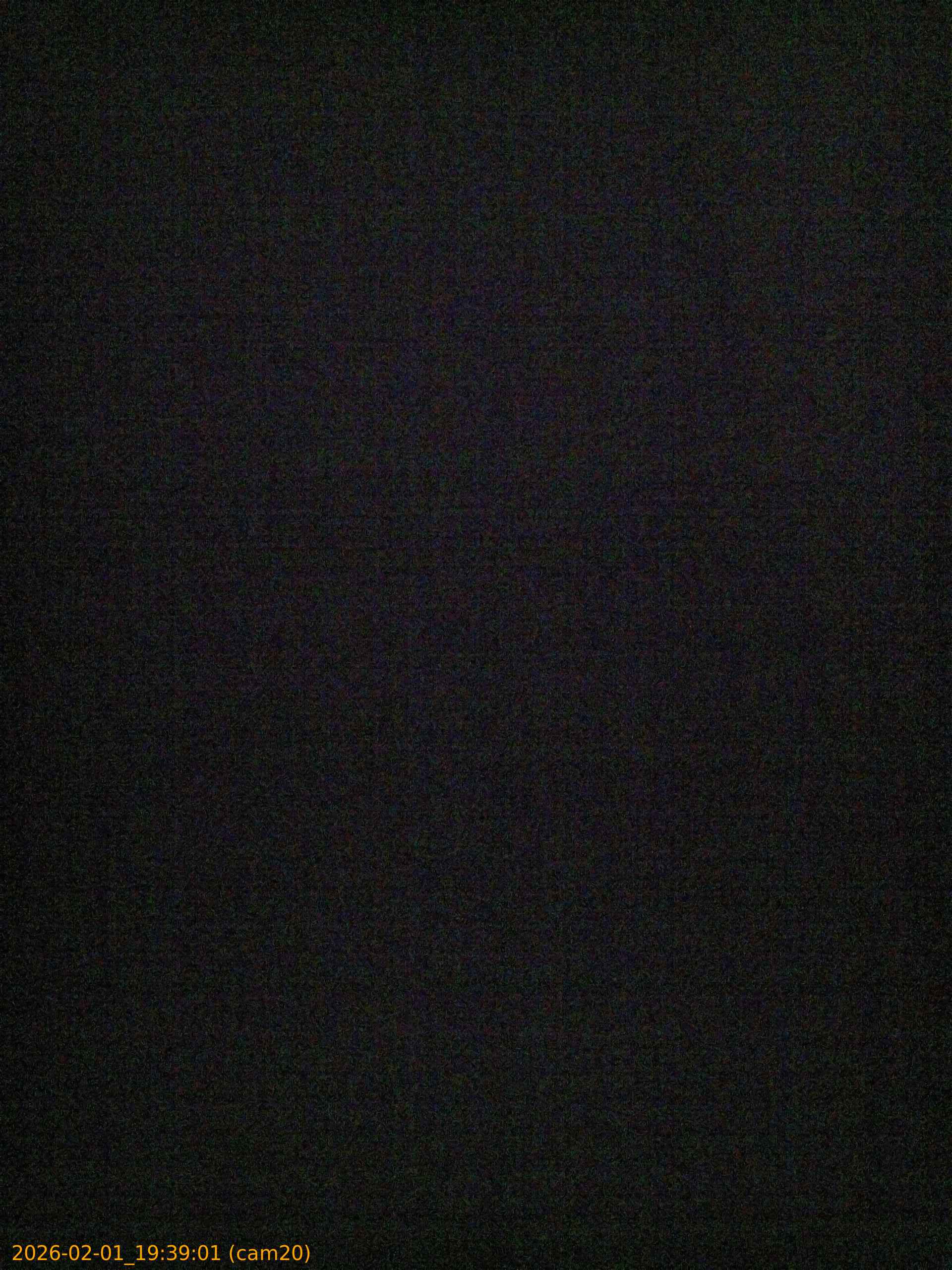 thumbnail_20260201193901