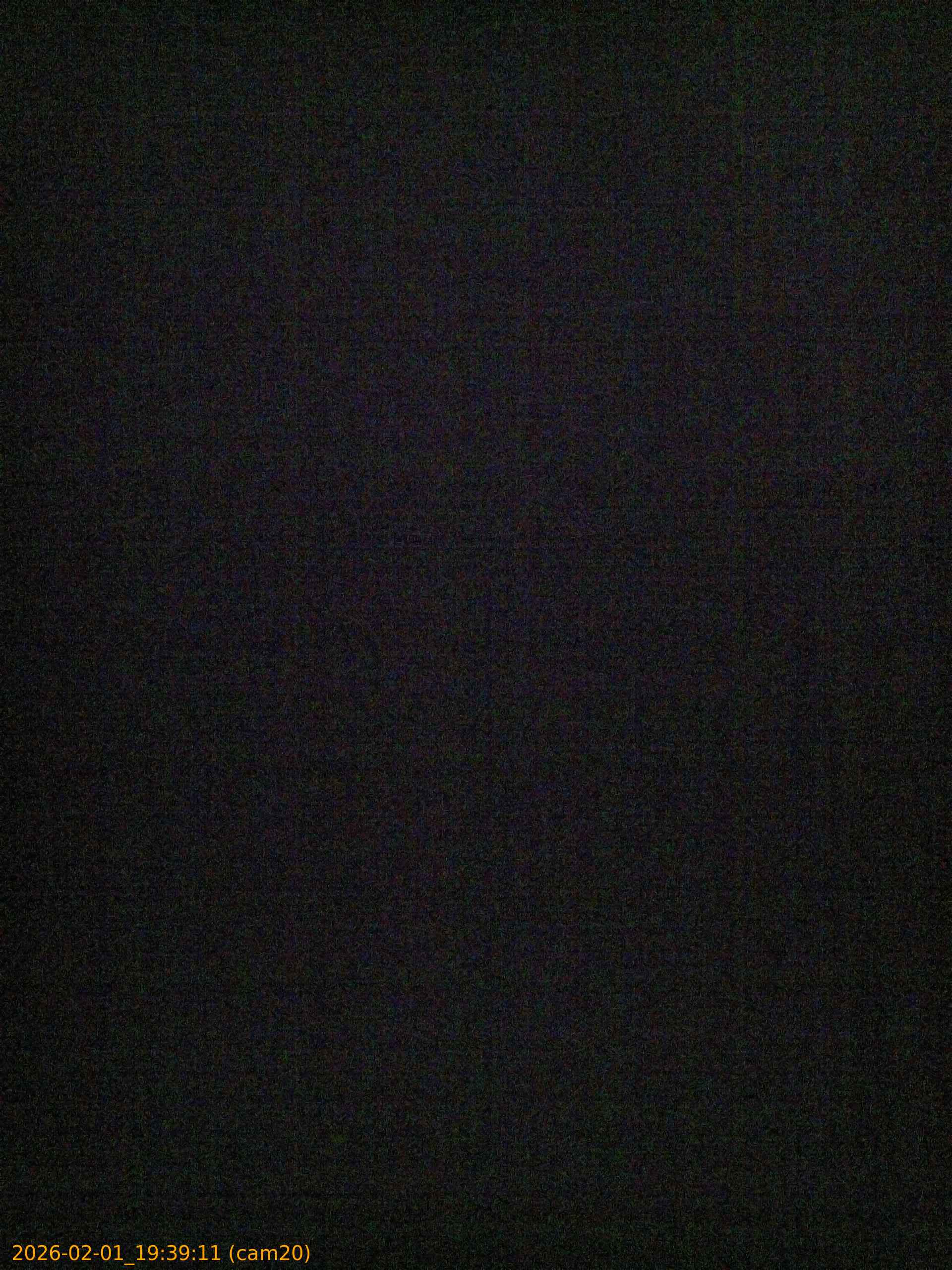 thumbnail_20260201193911