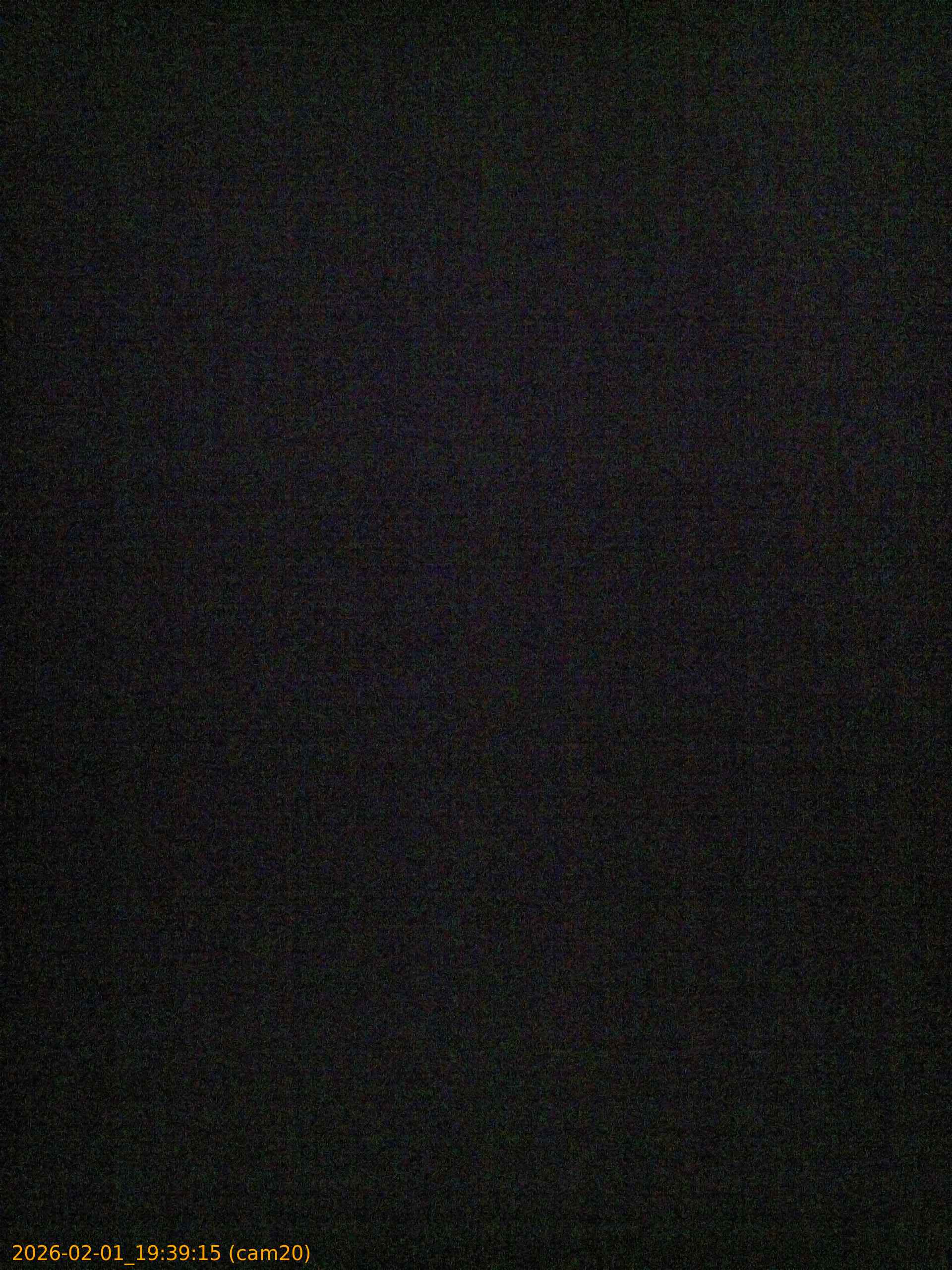 thumbnail_20260201193915