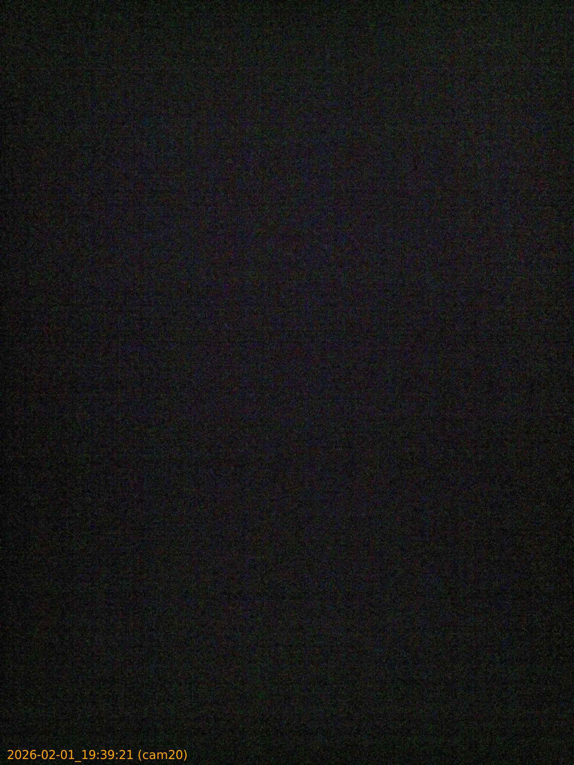 thumbnail_20260201193921