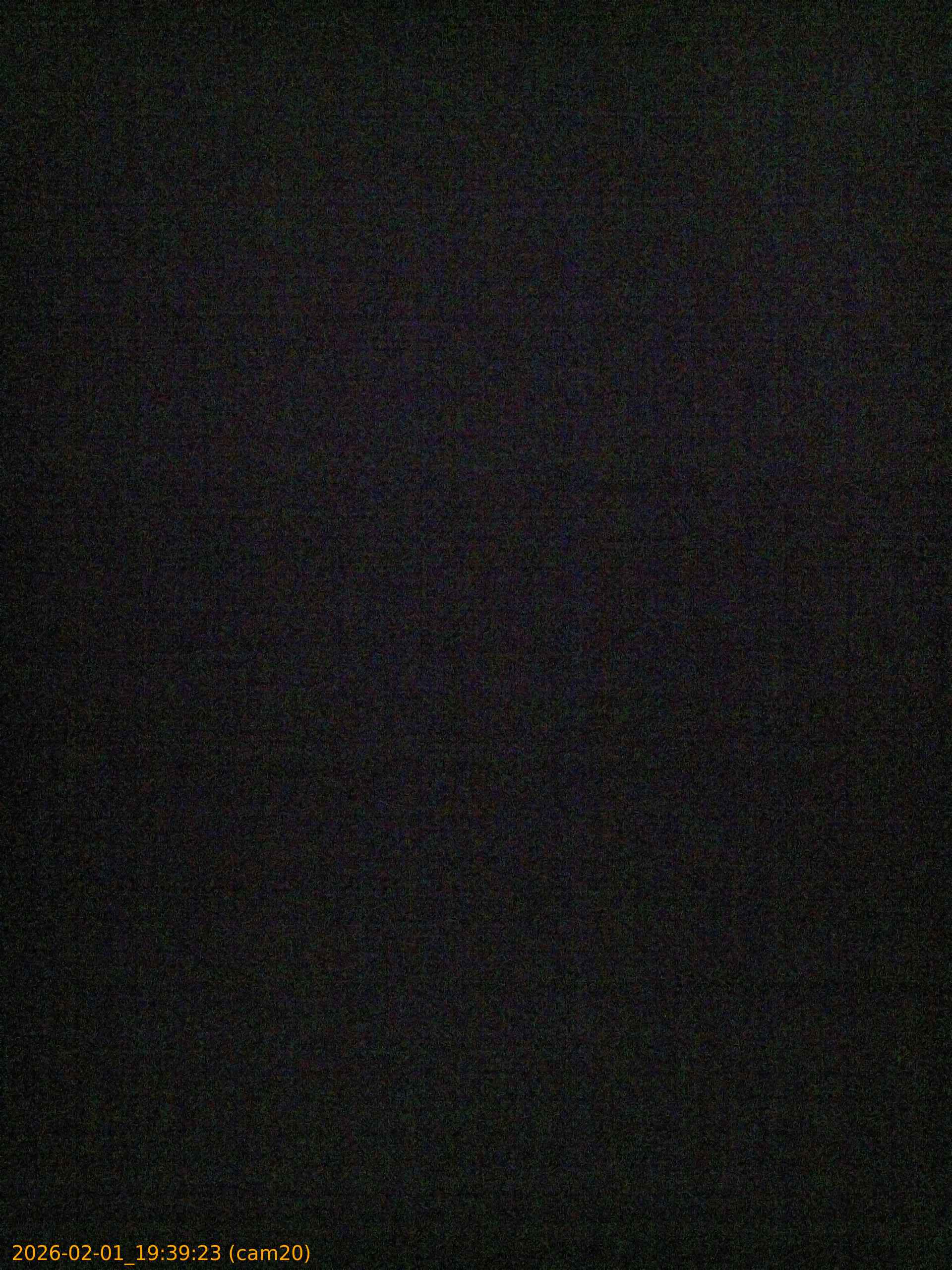 thumbnail_20260201193923