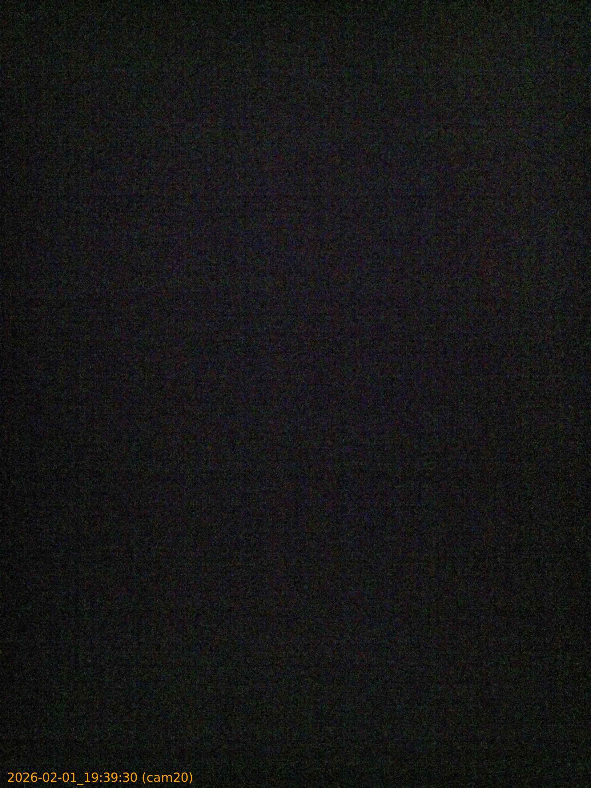 thumbnail_20260201193930