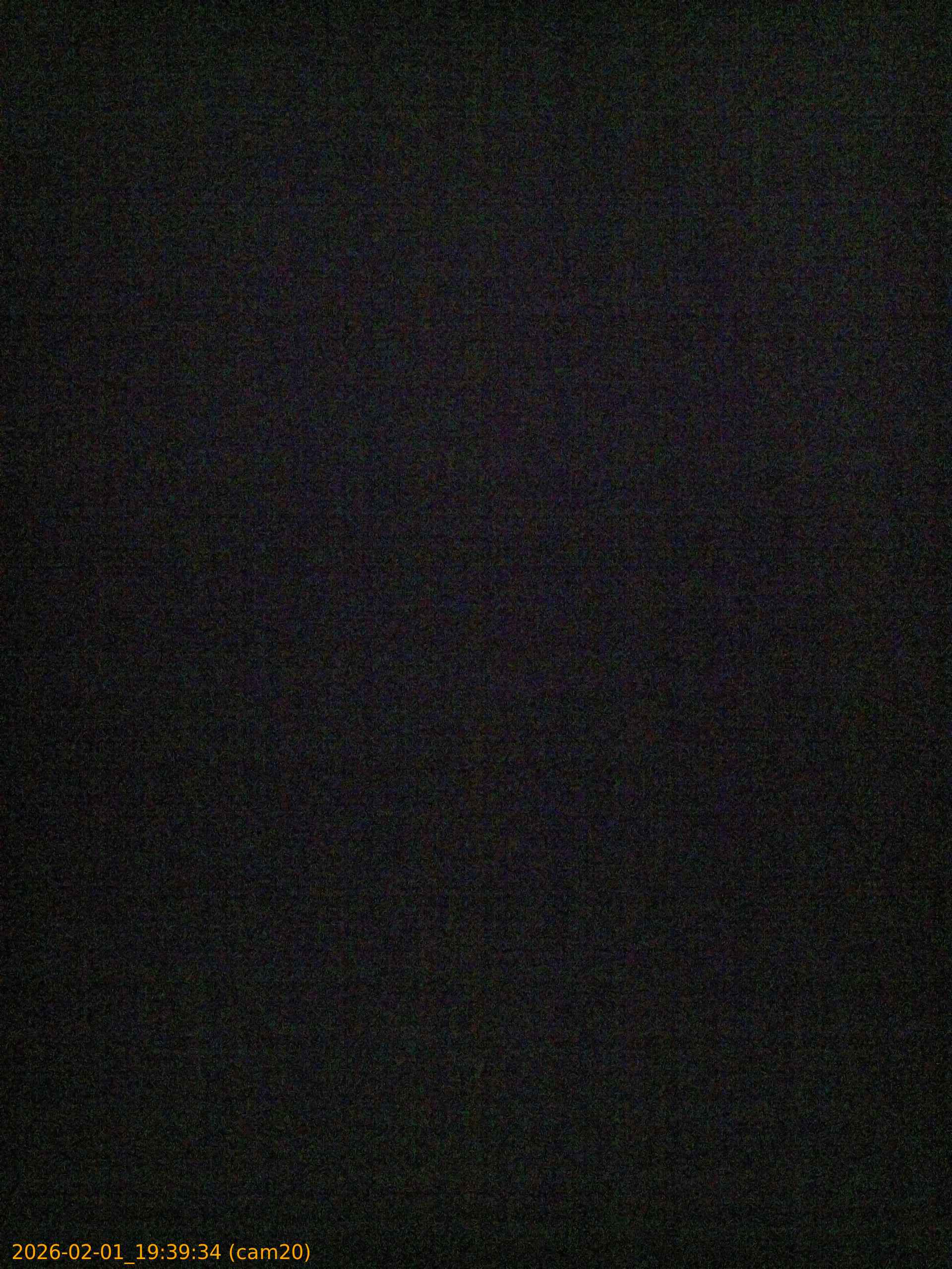 thumbnail_20260201193934