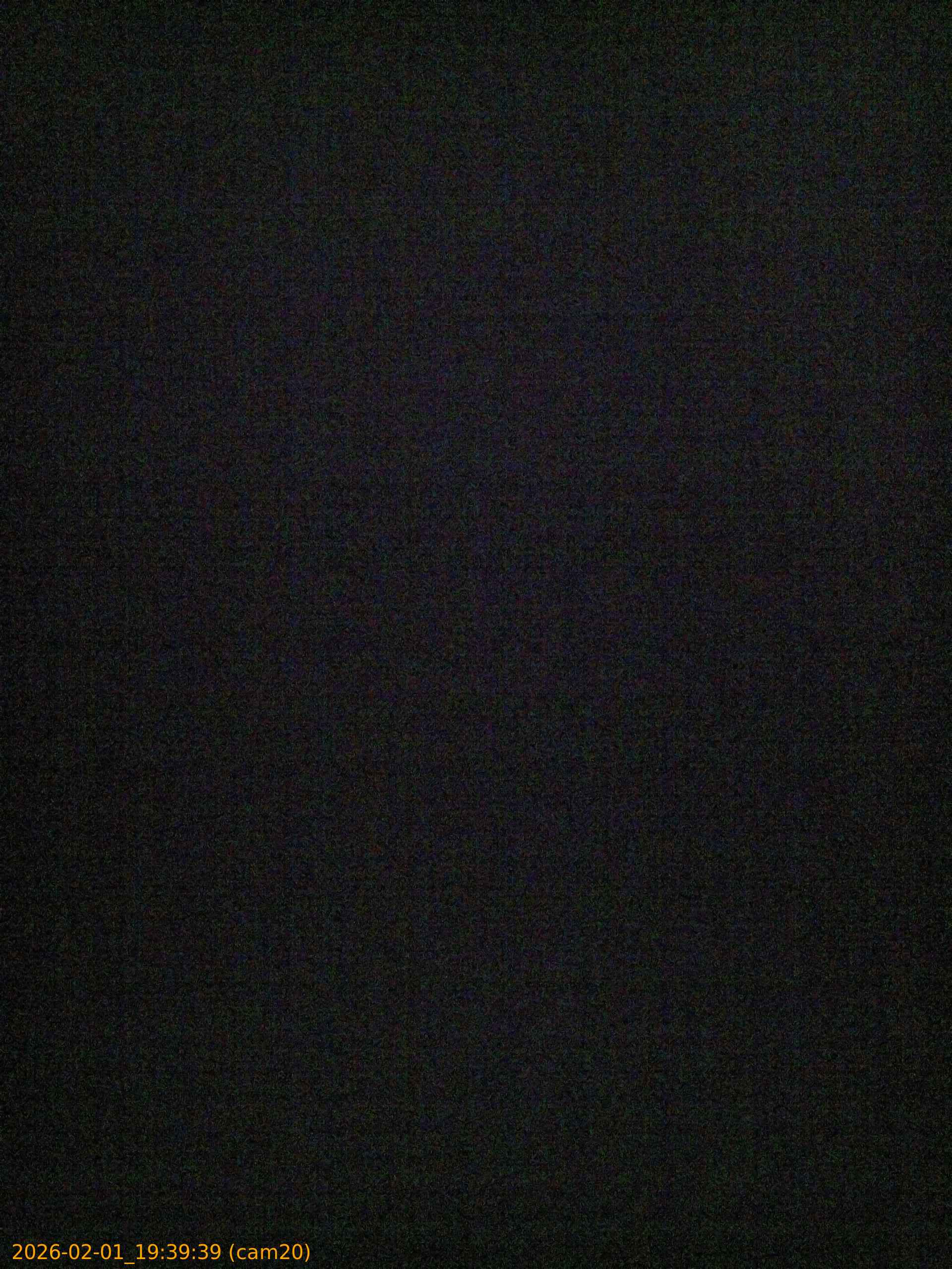 thumbnail_20260201193939