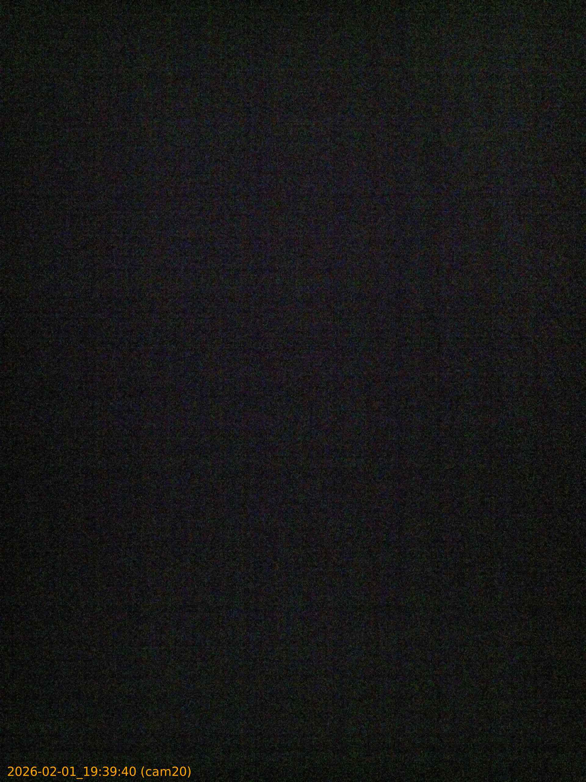 thumbnail_20260201193940