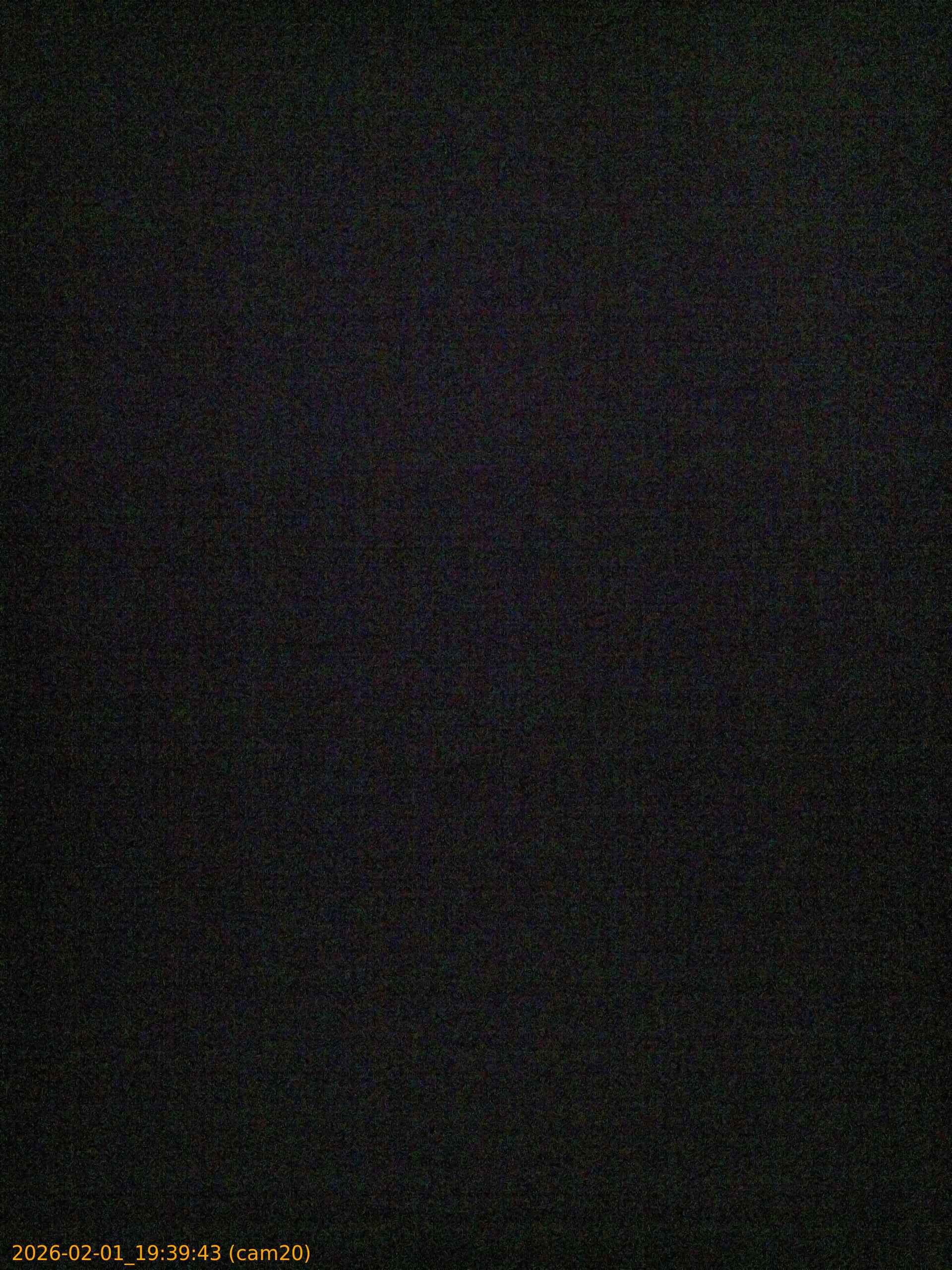 thumbnail_20260201193943