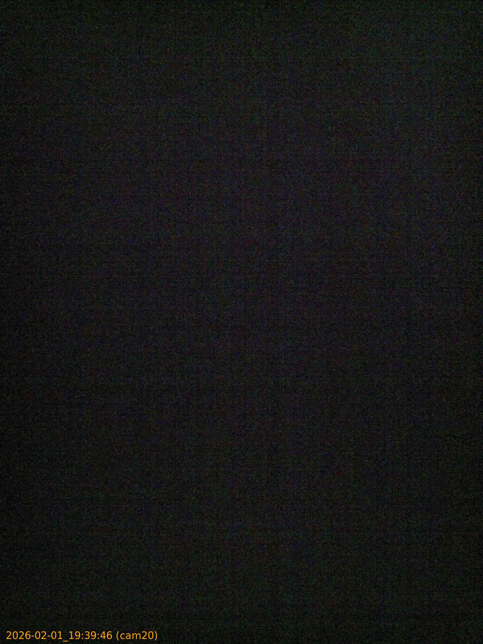 thumbnail_20260201193946