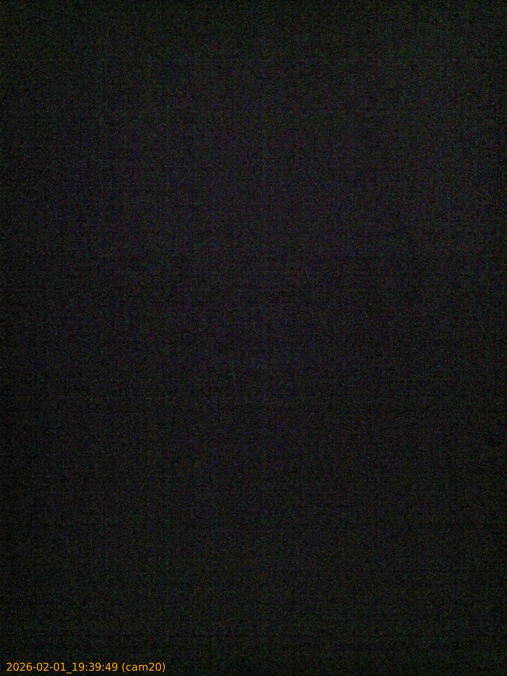 thumbnail_20260201193949