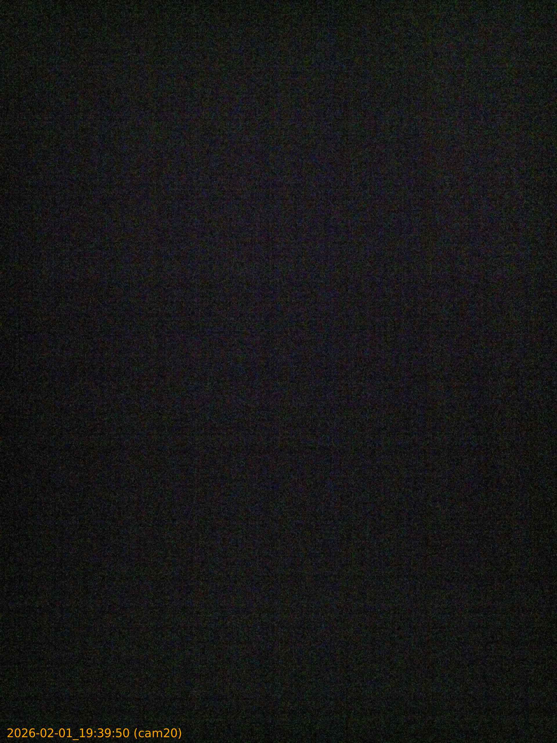 thumbnail_20260201193950