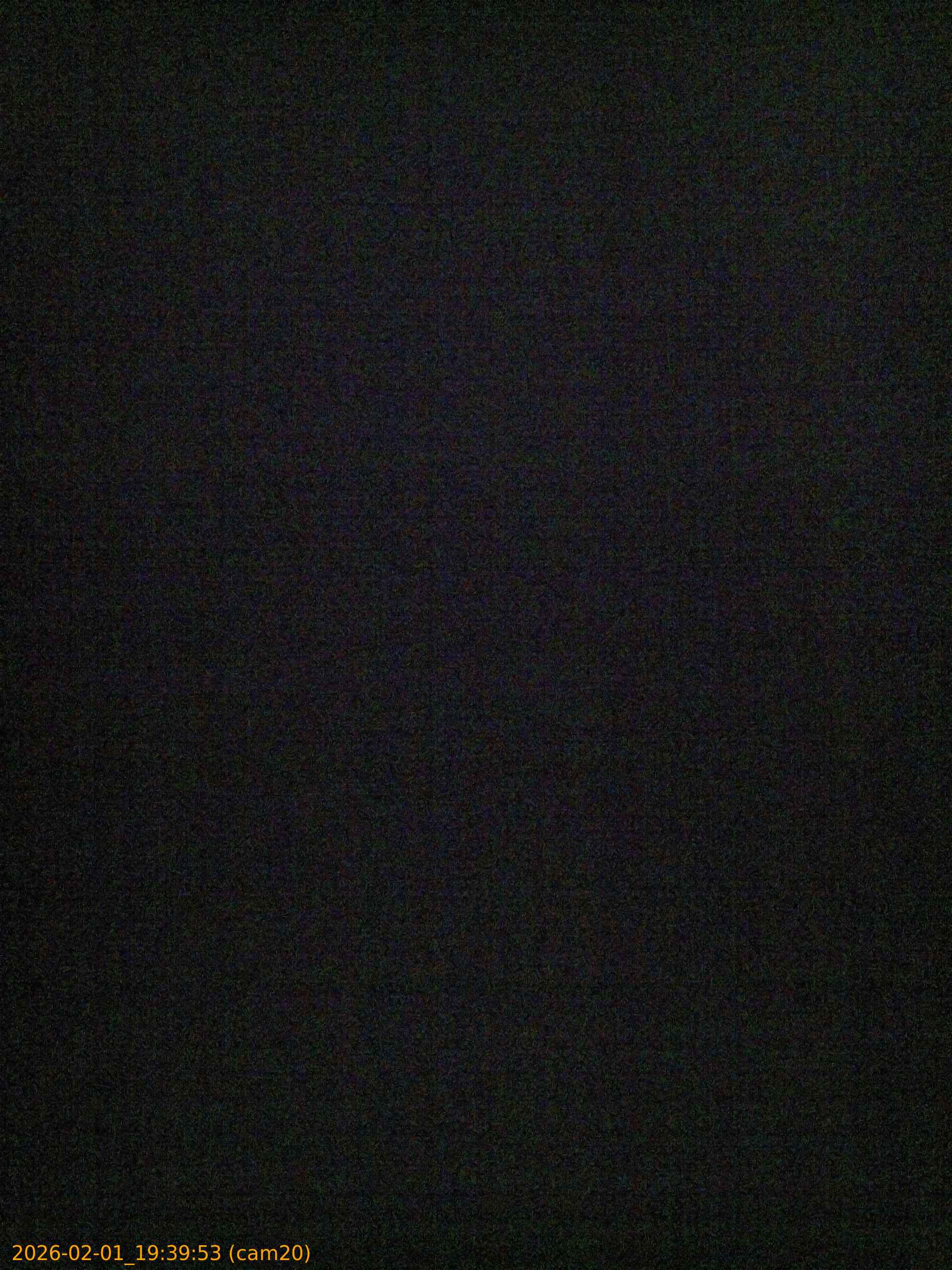 thumbnail_20260201193953