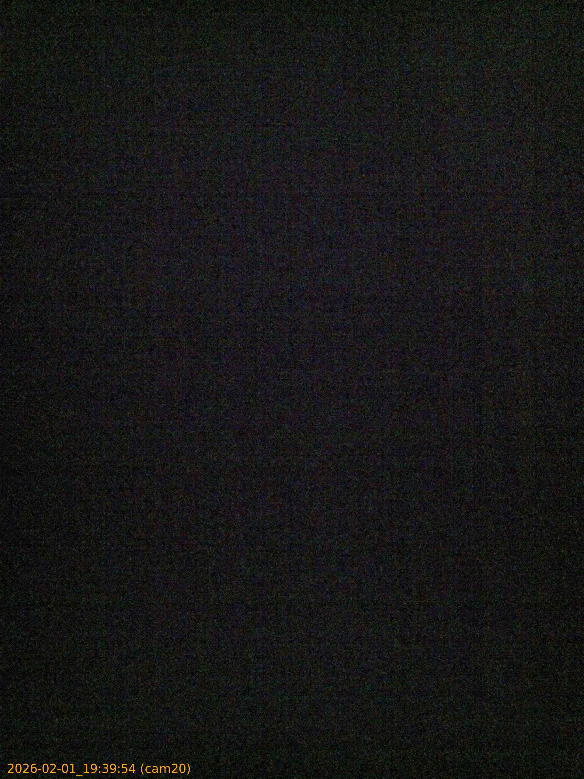 thumbnail_20260201193954