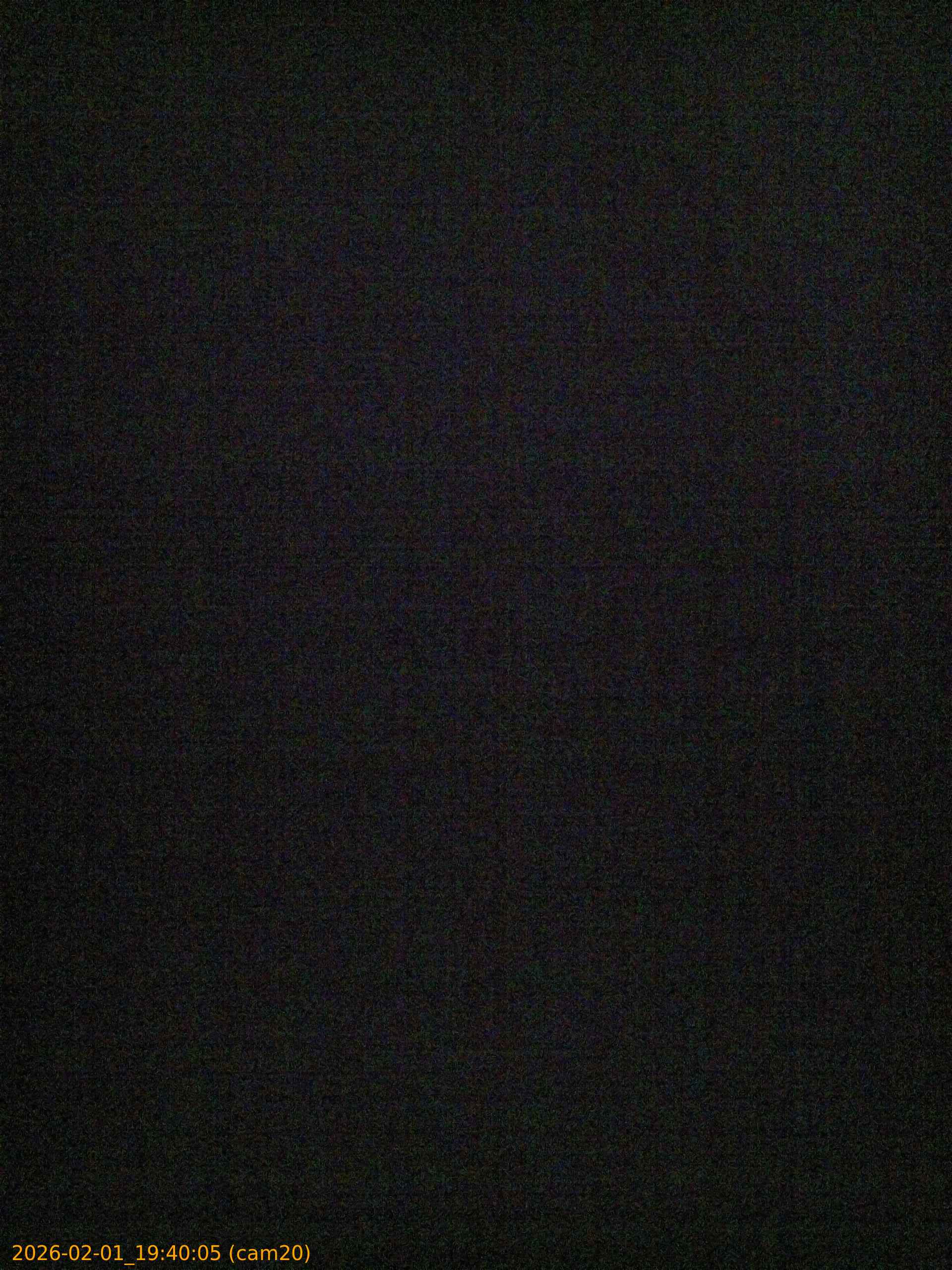 thumbnail_20260201194005