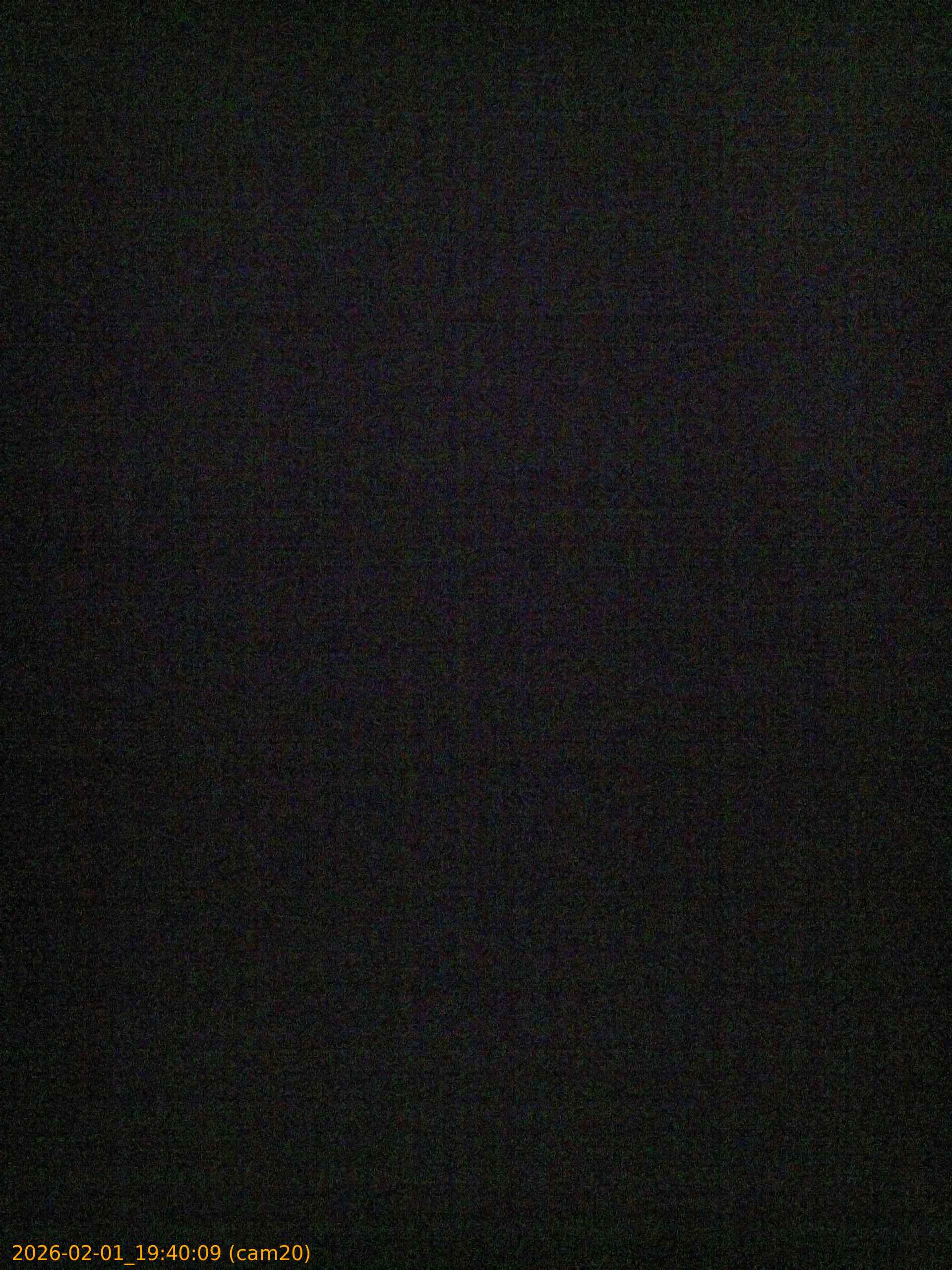 thumbnail_20260201194009