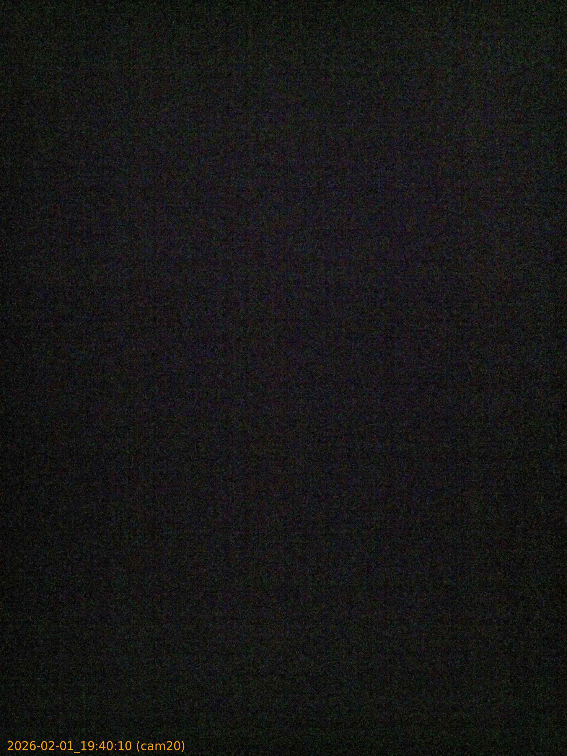 thumbnail_20260201194010