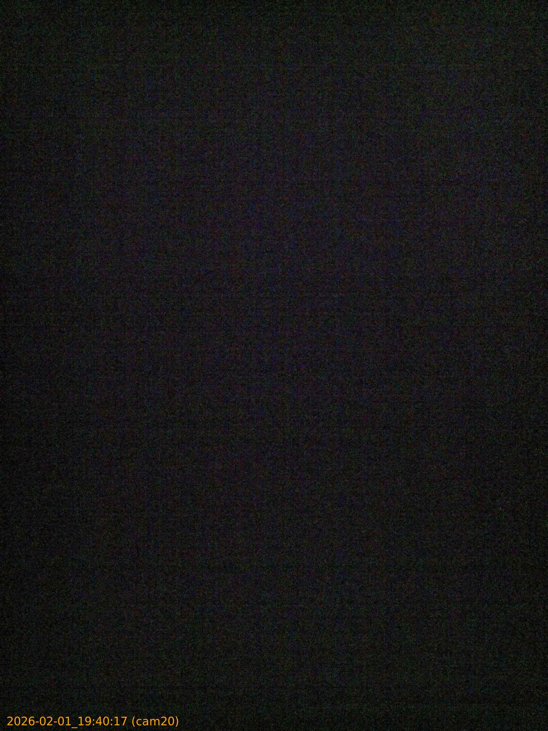 thumbnail_20260201194016